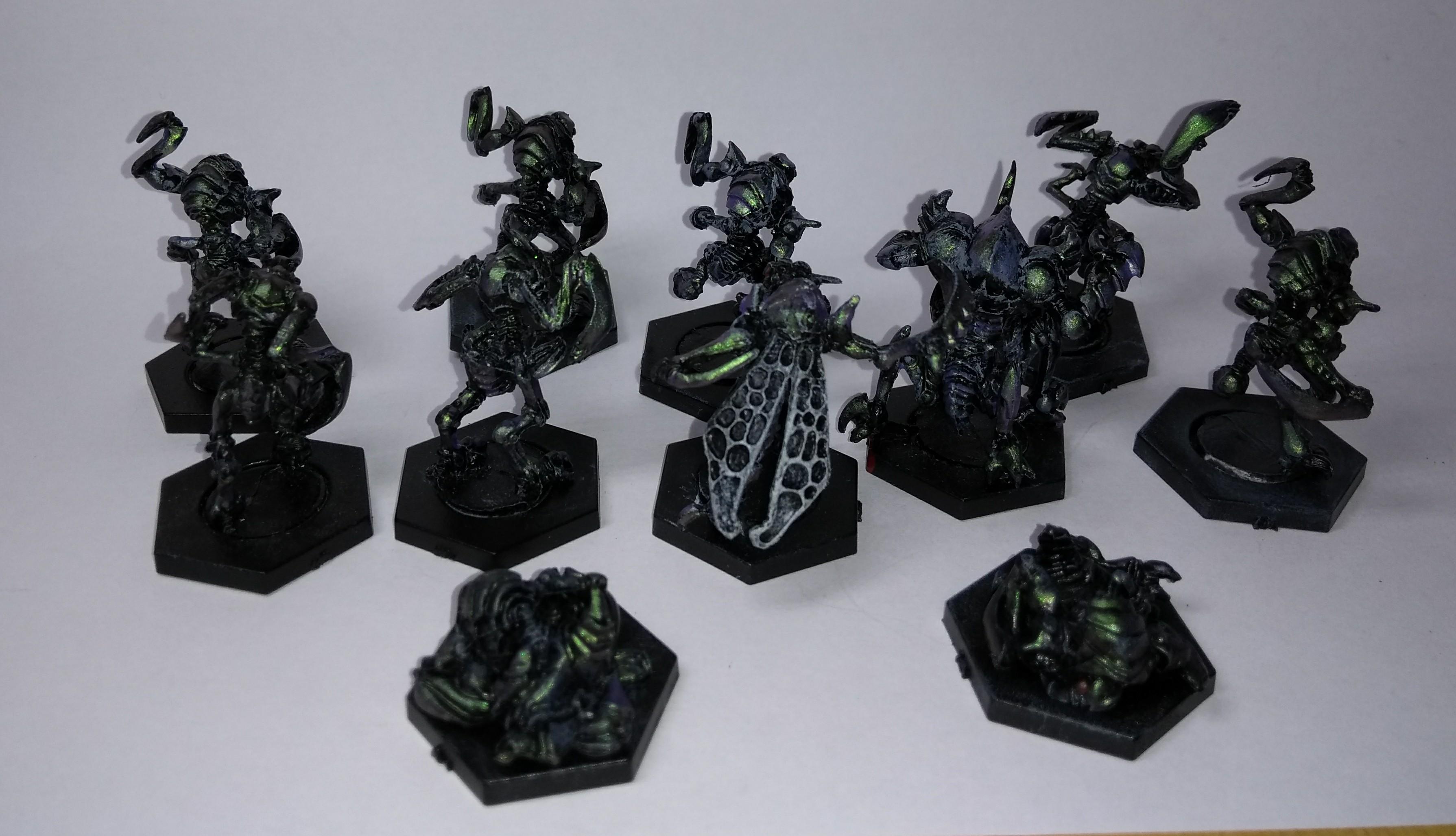 Z'ZOR team rear