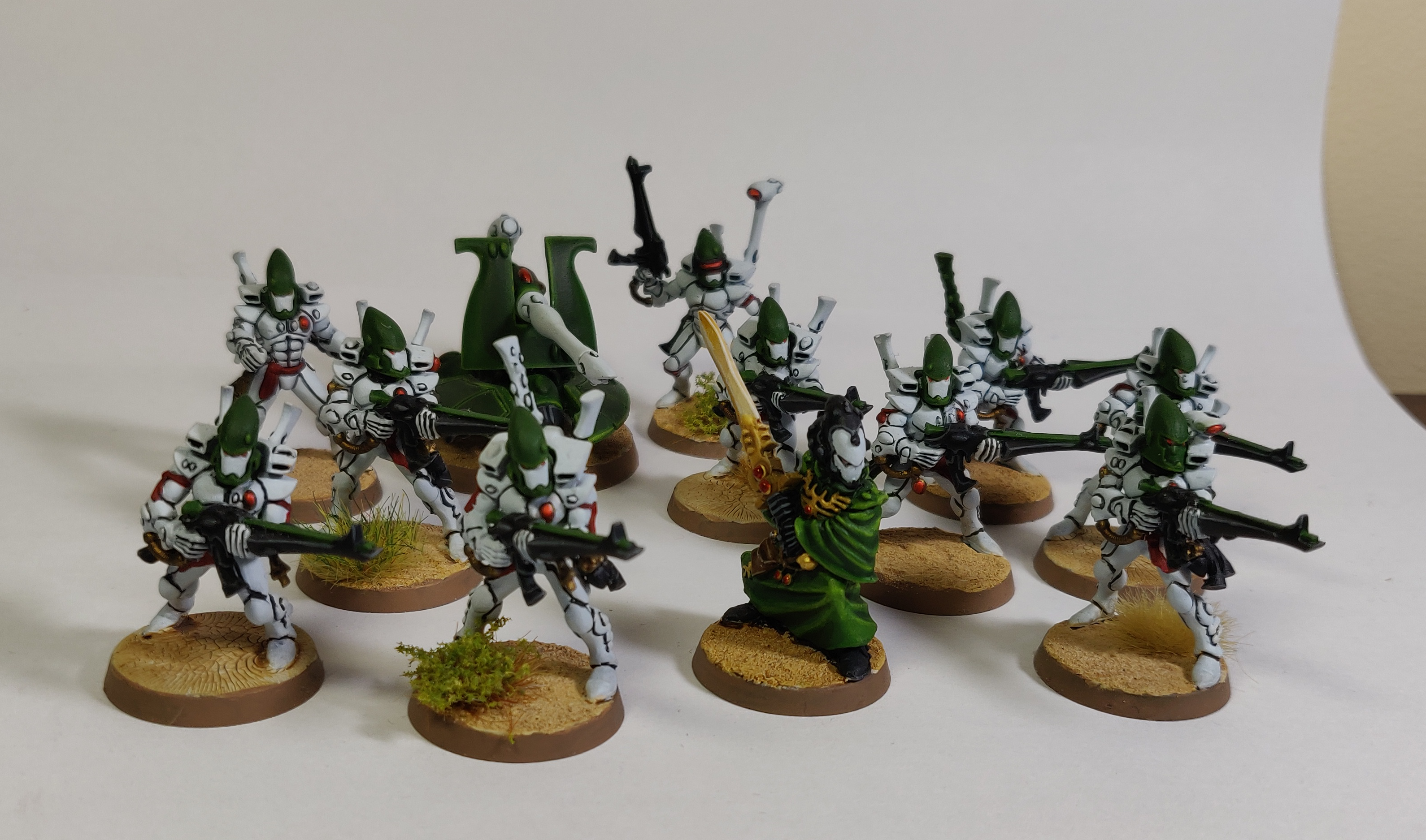 Biel-tan, Eldar, Biel-Tan Warlock & Guardians 1 - Biel-Tan Warlock ...