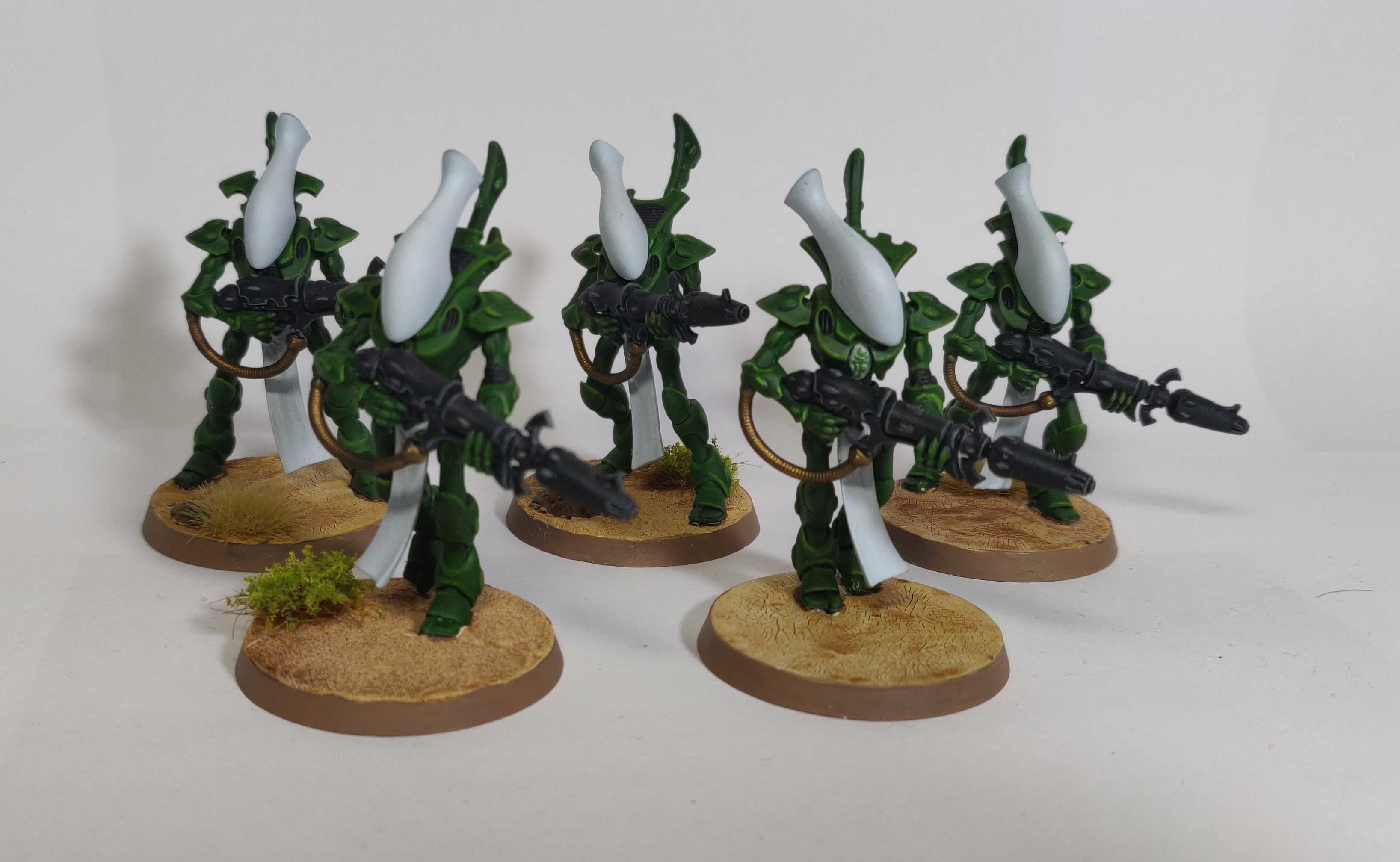 Biel-tan, Eldar, Biel-Tan Wraithguard