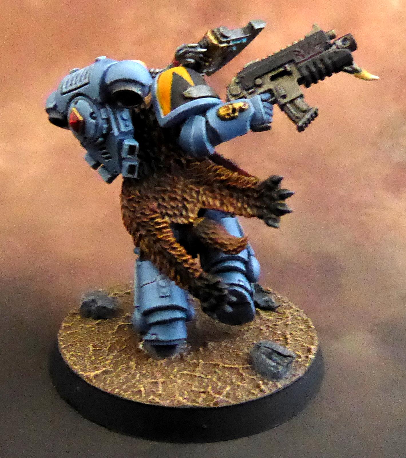 Primaris, Space Marines, Space Wolves, Wolf Guard