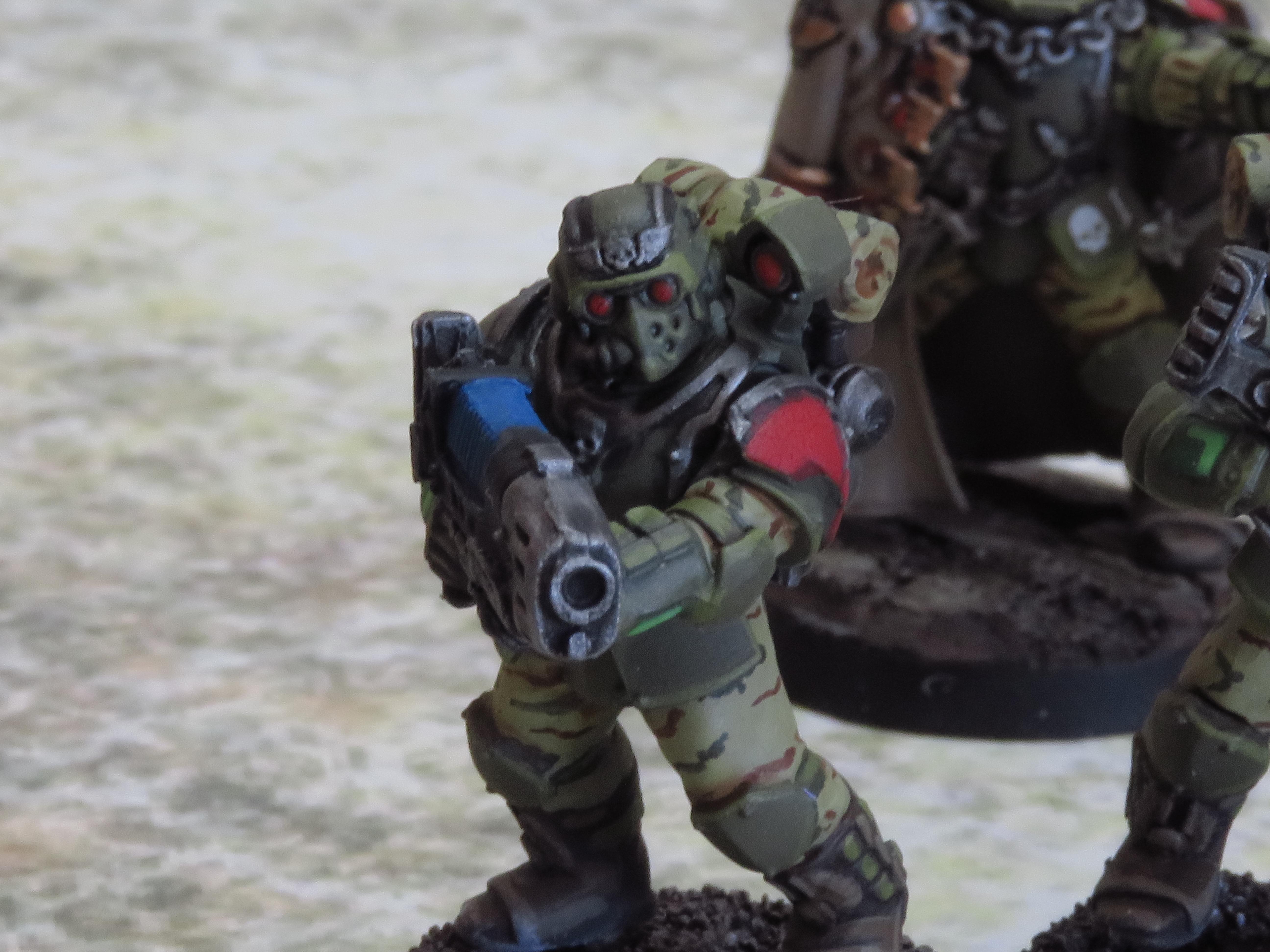 Imperial Guard, Scions