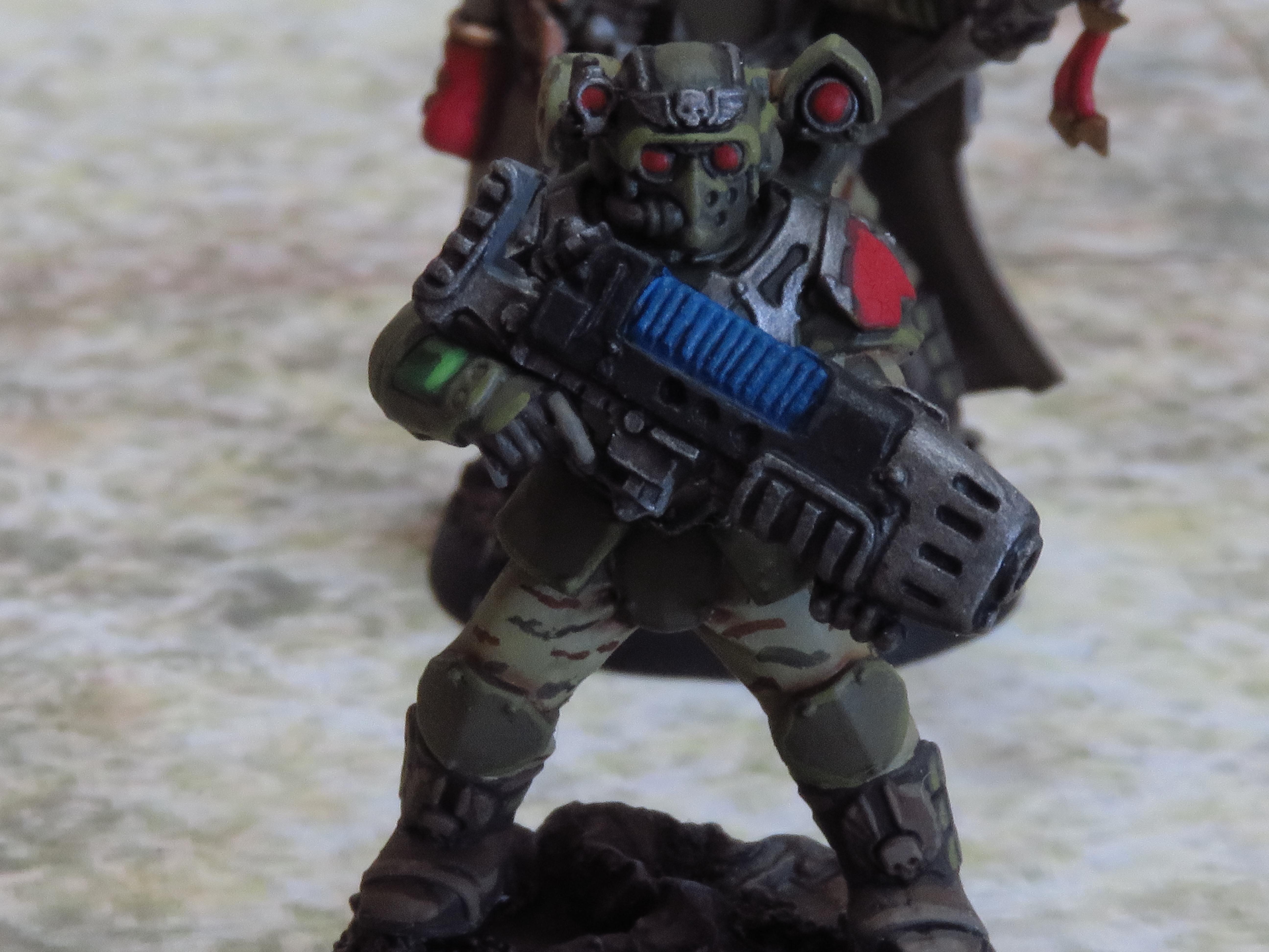 Imperial Guard, Scions