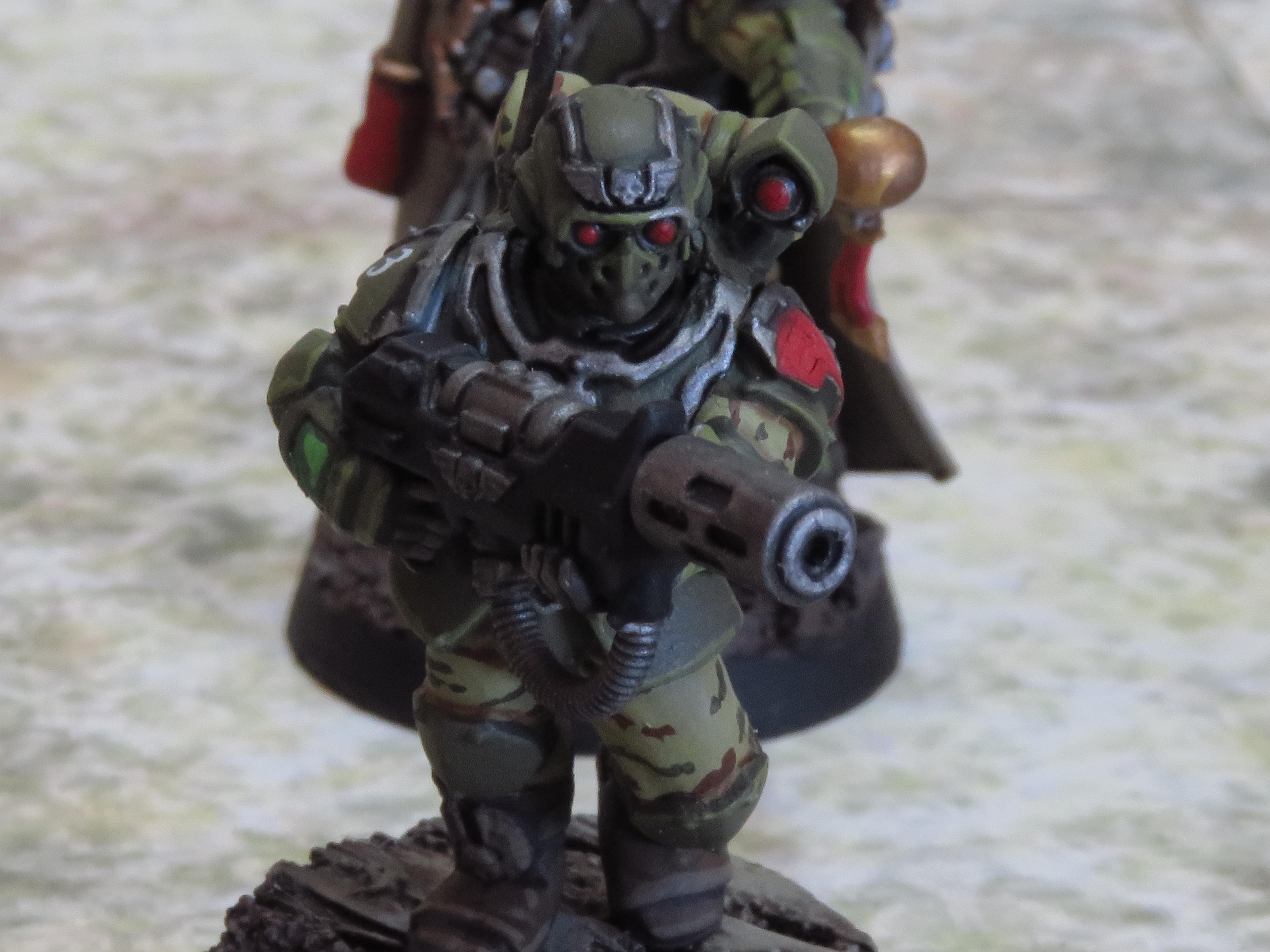 Imperial Guard, Scions