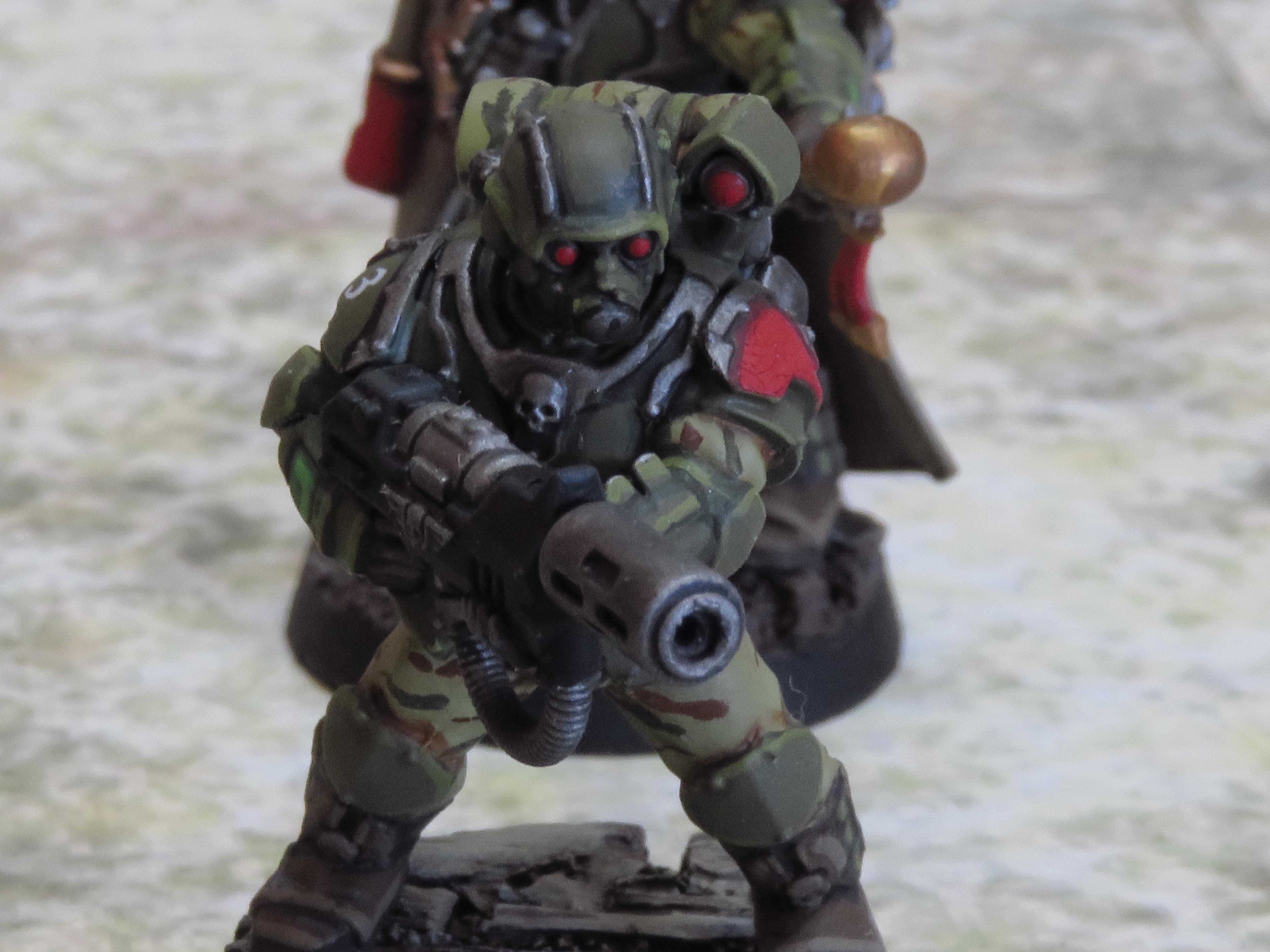 Imperial Guard, Scions
