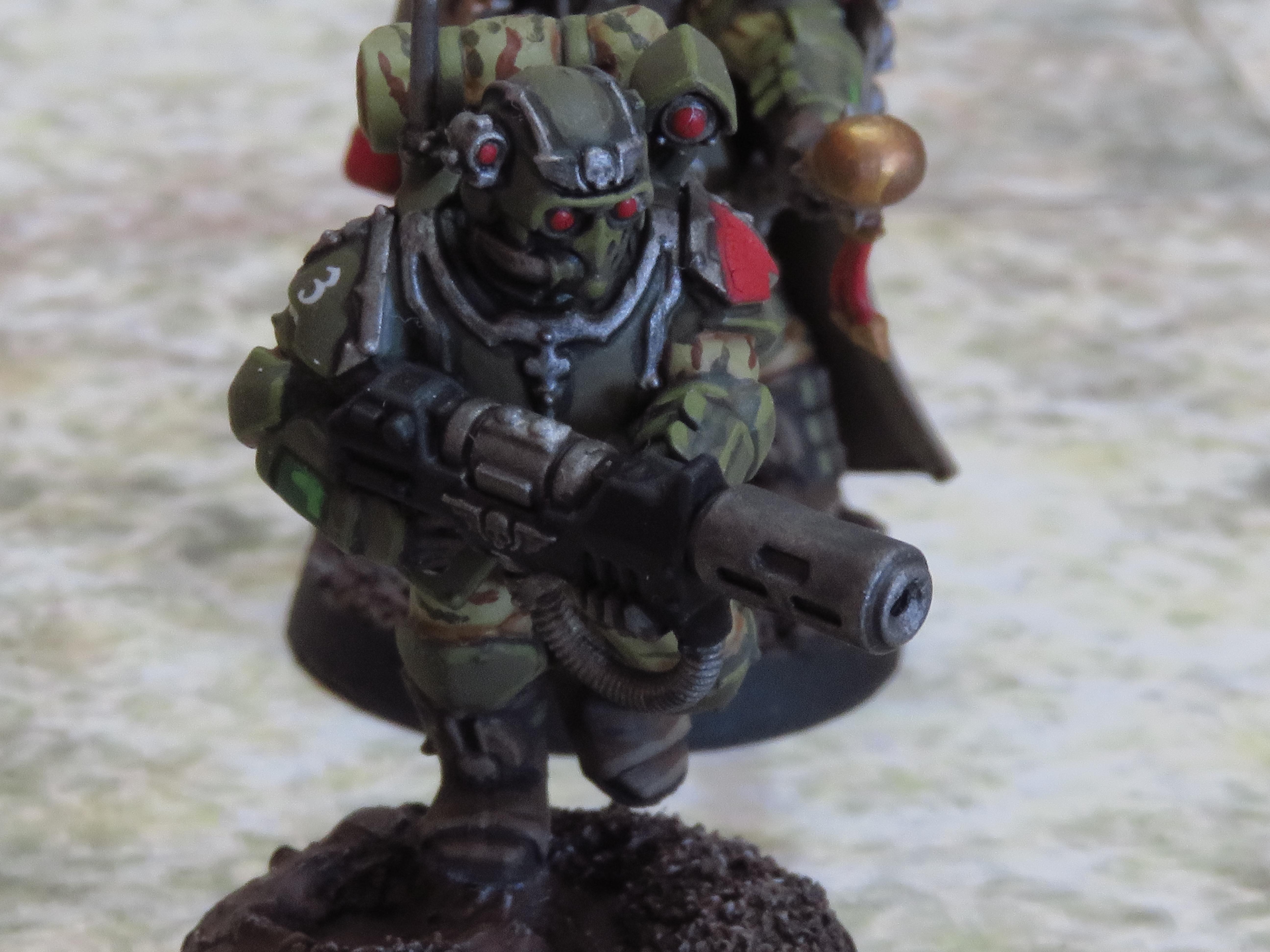 Imperial Guard, Scions