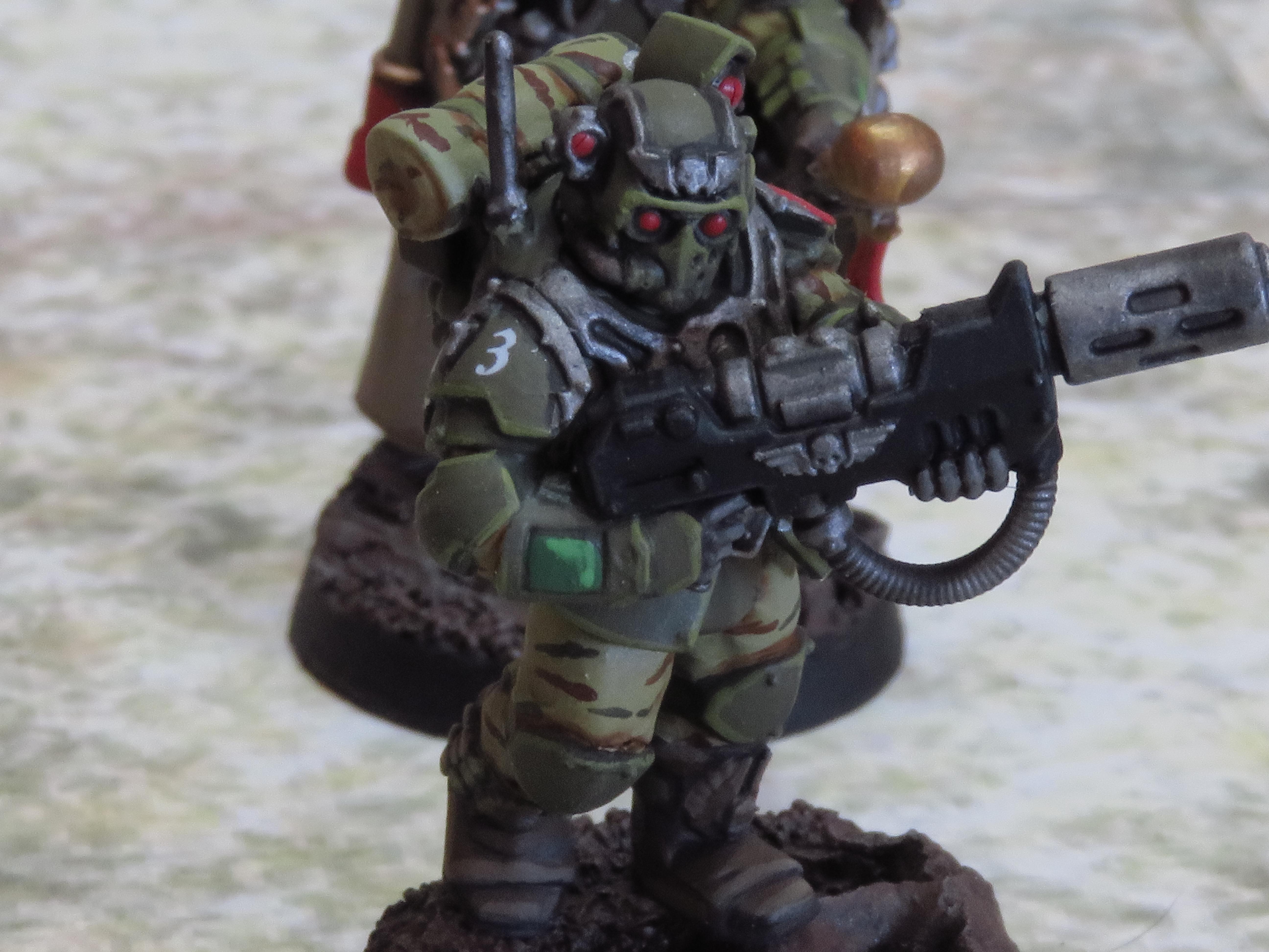 Imperial Guard, Scions