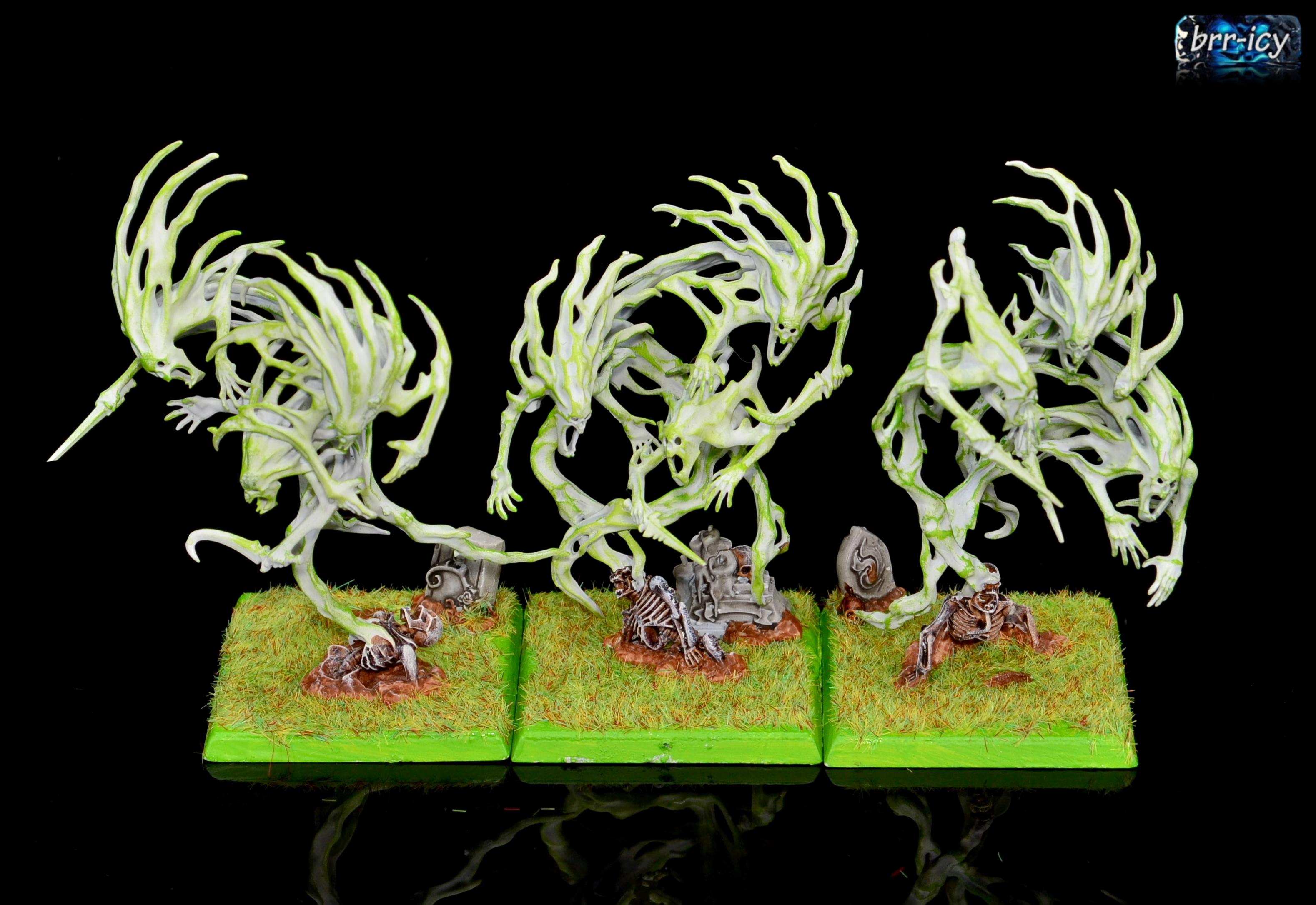 Vampire Counts, Spirit Hosts