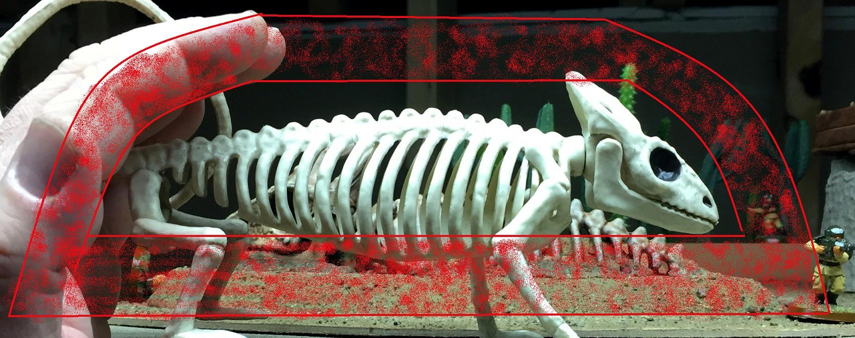 Skelly Jr B