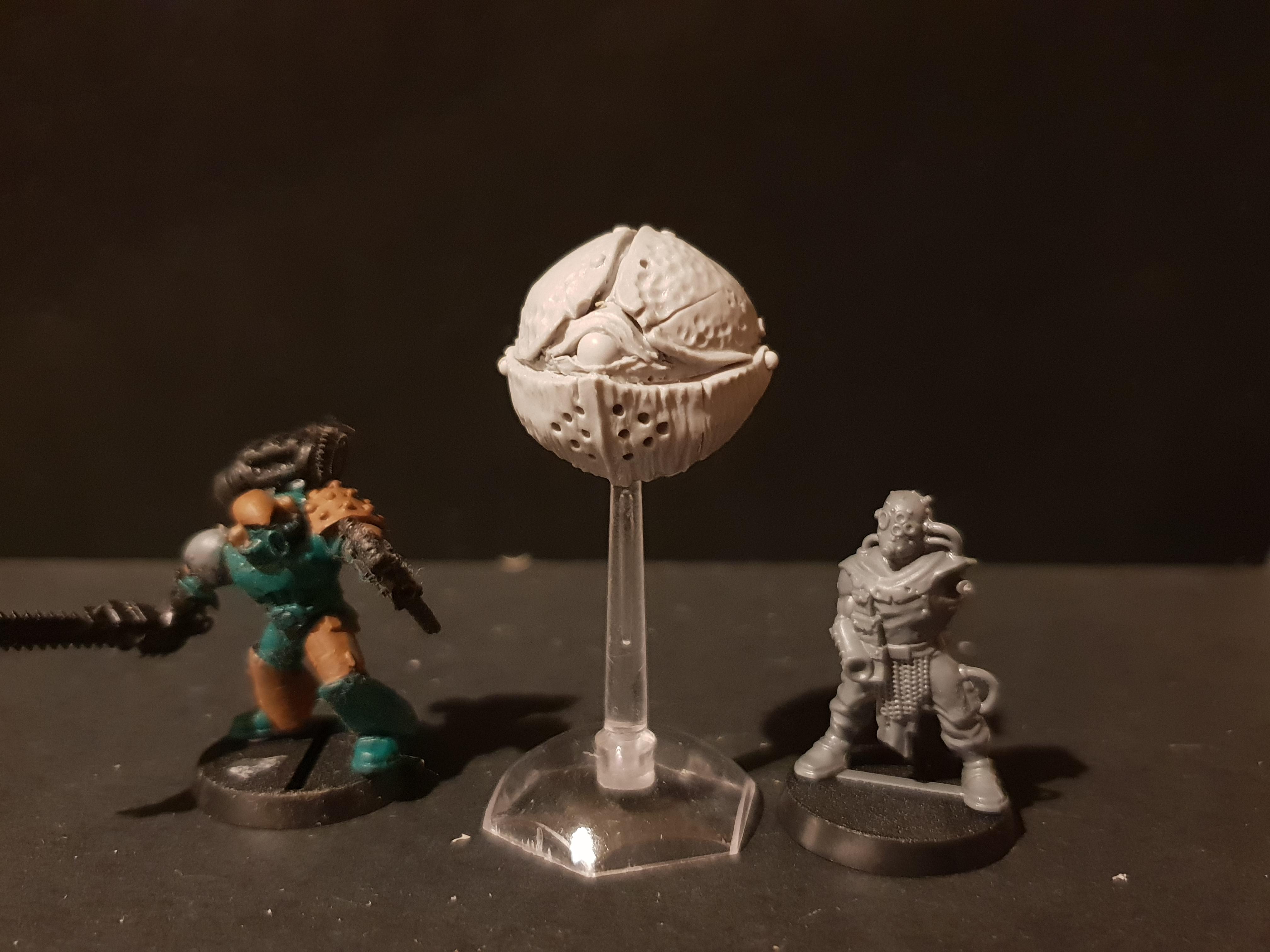 Scale shot