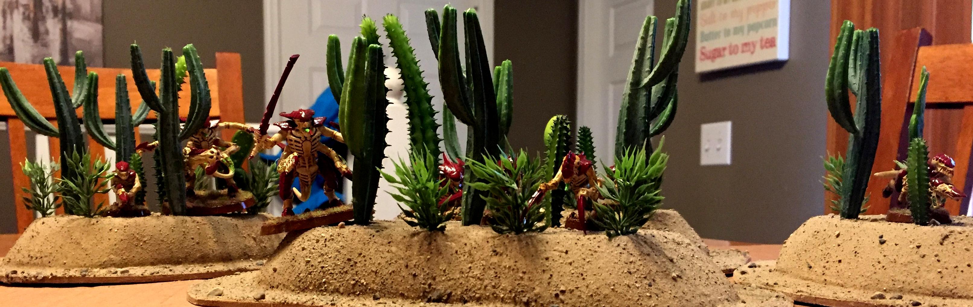 Cactus B