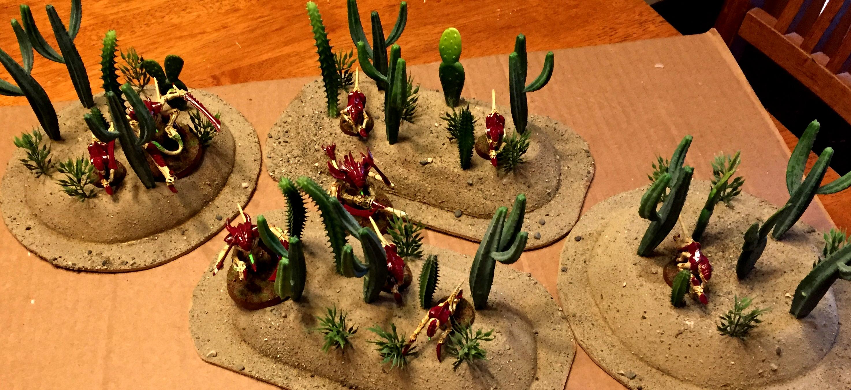 Cactus D