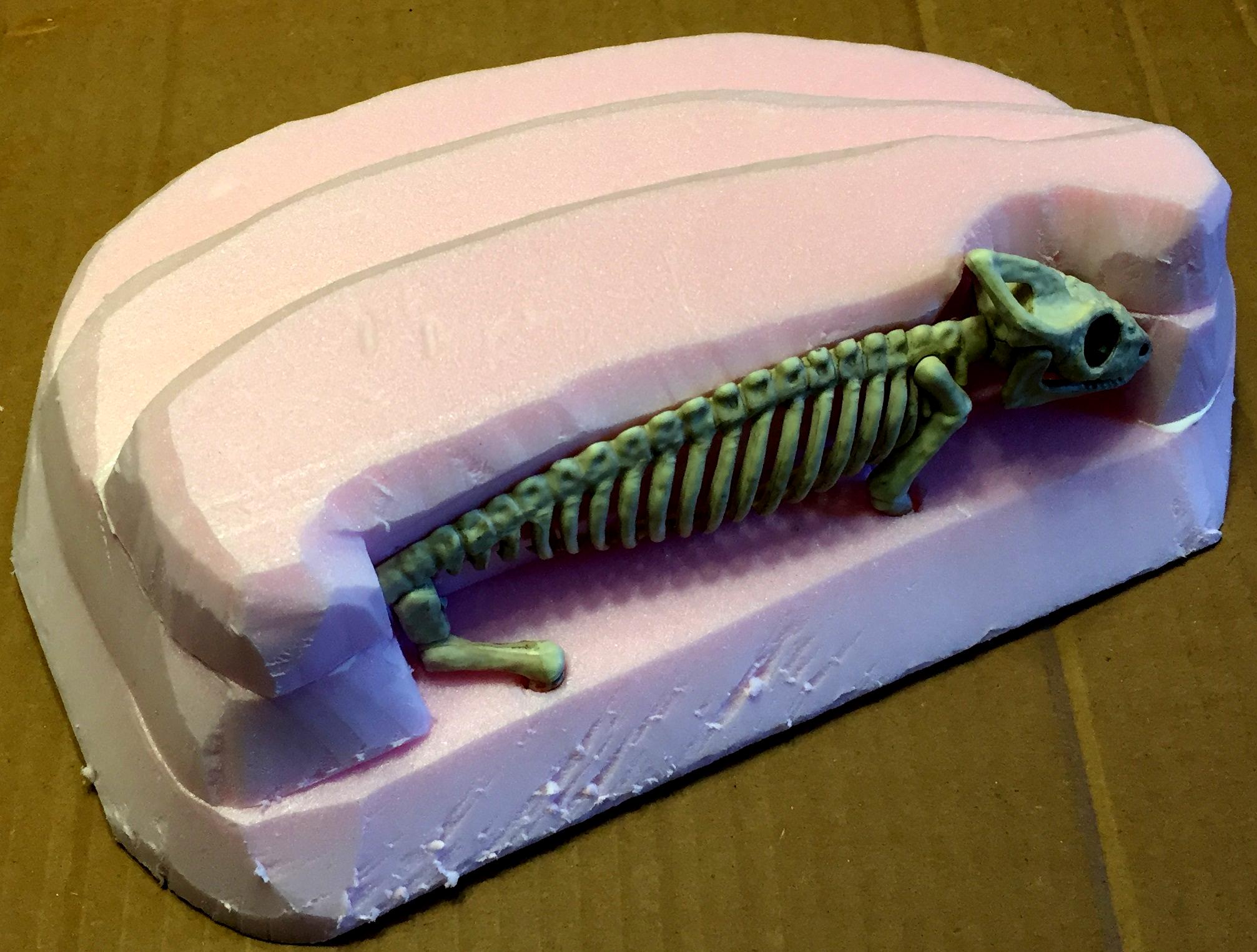Fossil B