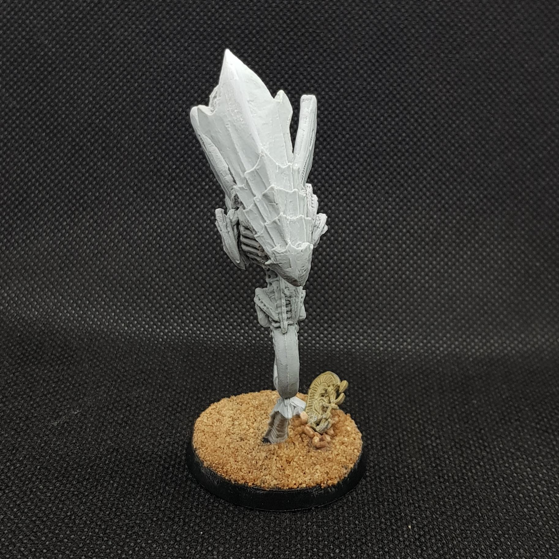 Zoanthrope (test shot)