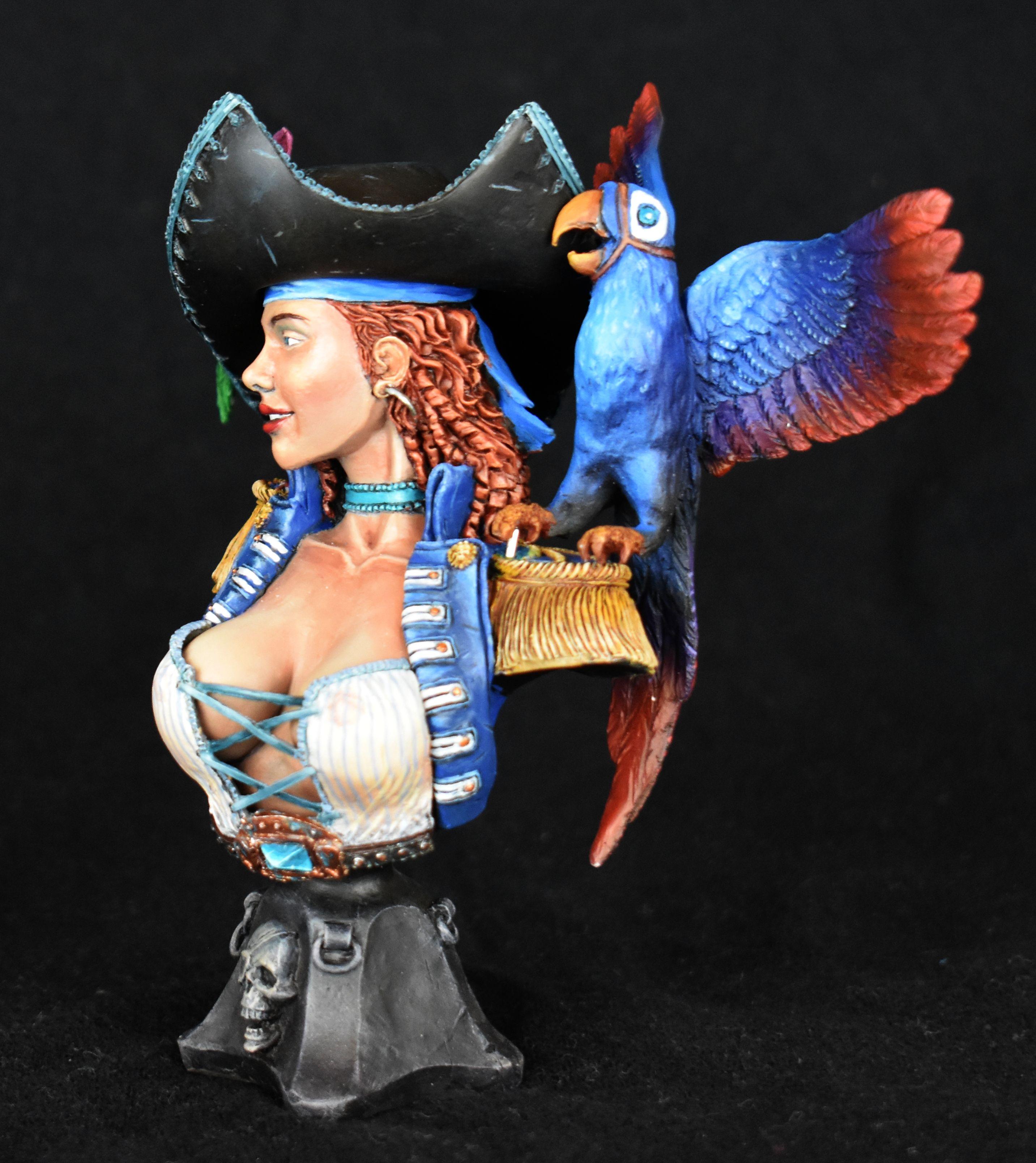 Bust, Colour, Non-Metallic Metal, Pirate