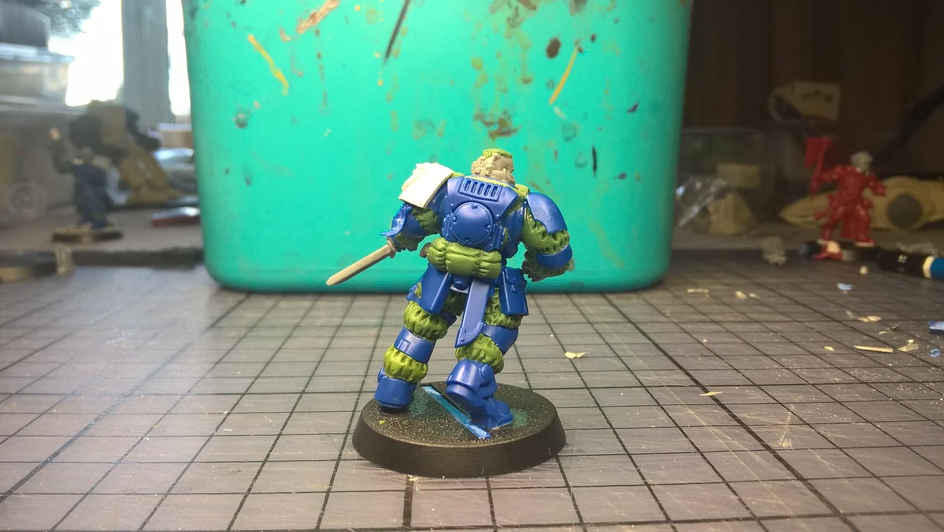 Conversion, Imperial Fists, Primaris, Solar Lions, Space Marines, Warhammer 40,000