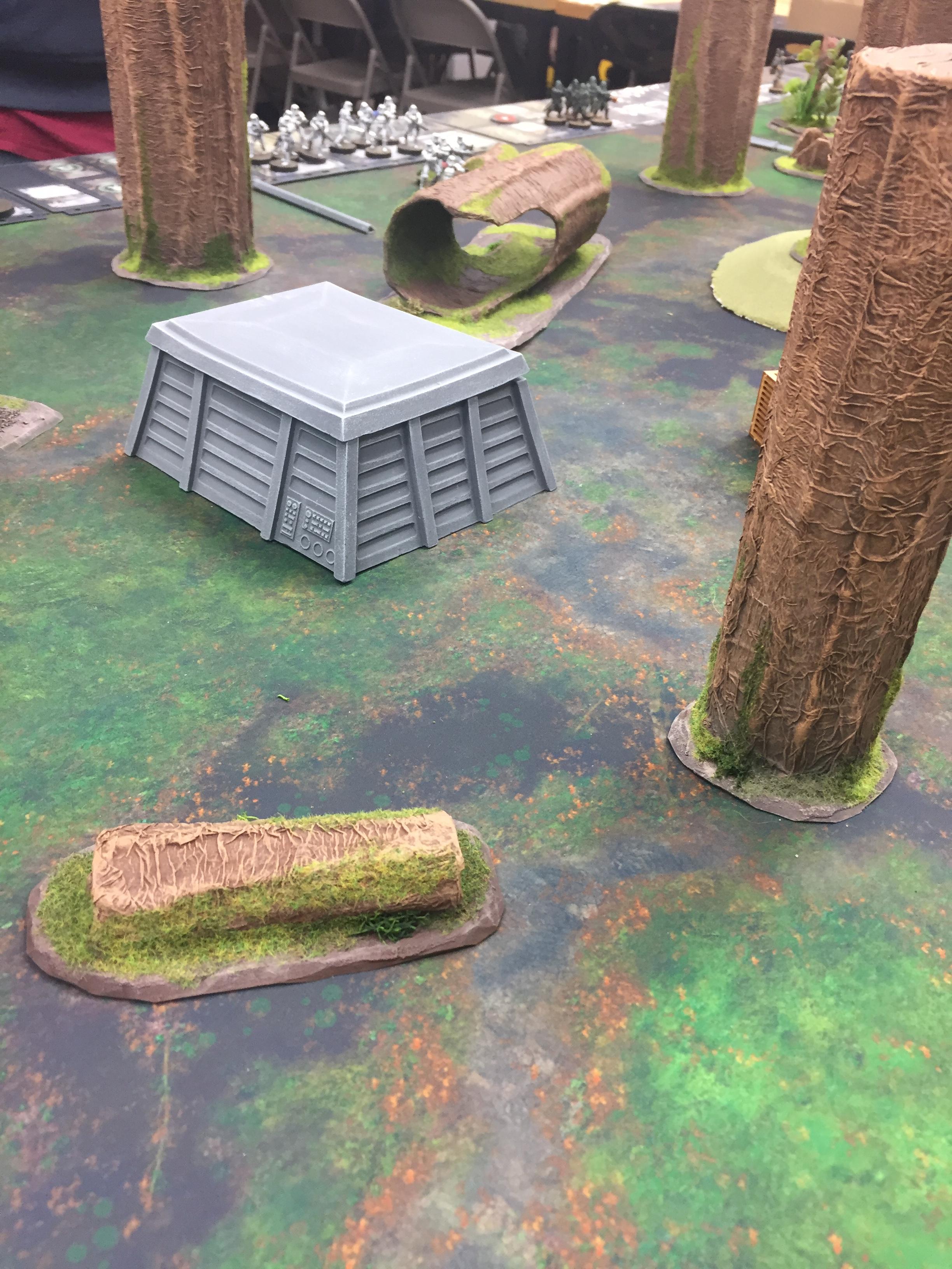 Outpost in the forest