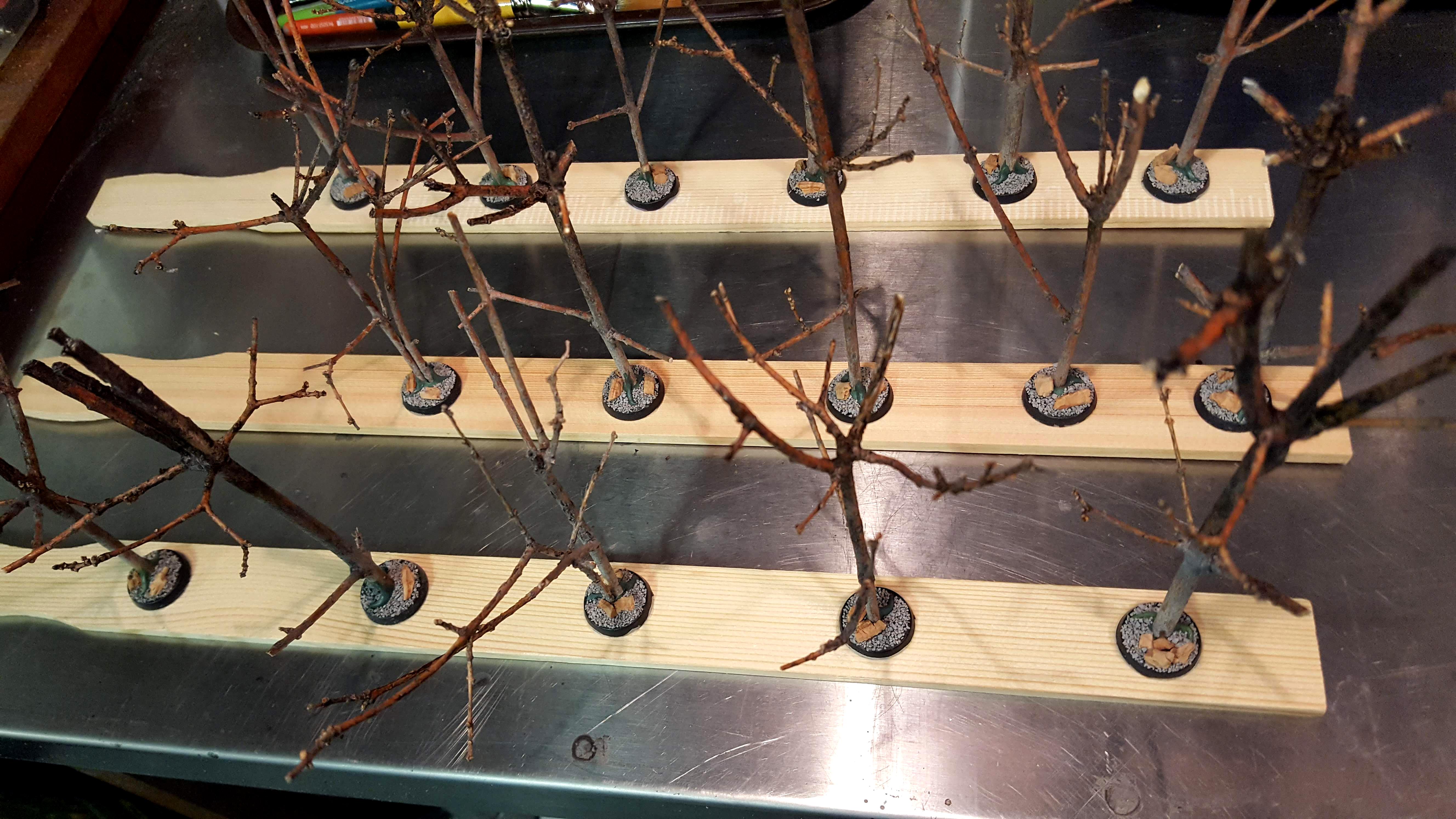 Trees ready for paint