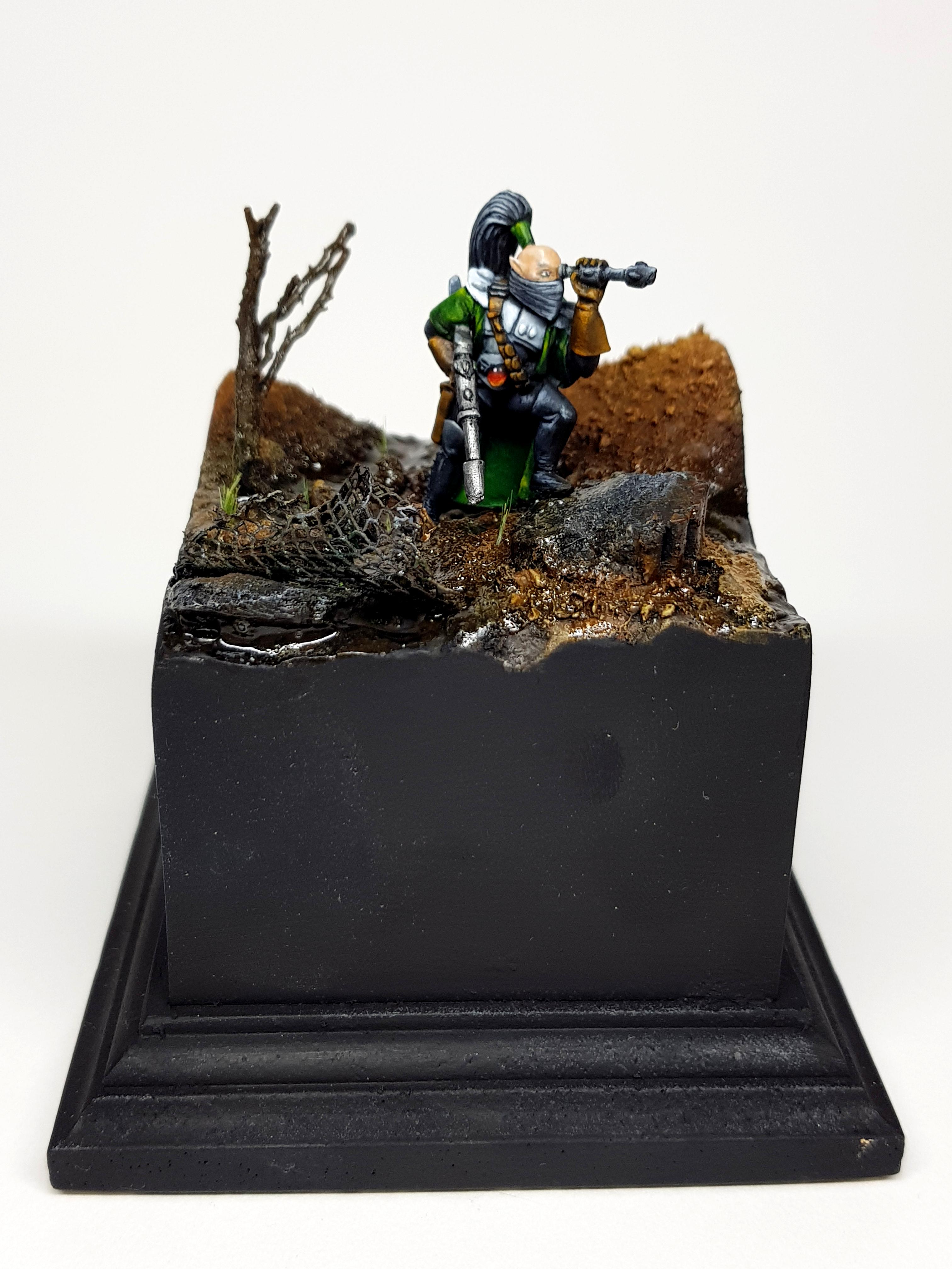 Eldar Ranger - Mark Gibbons
