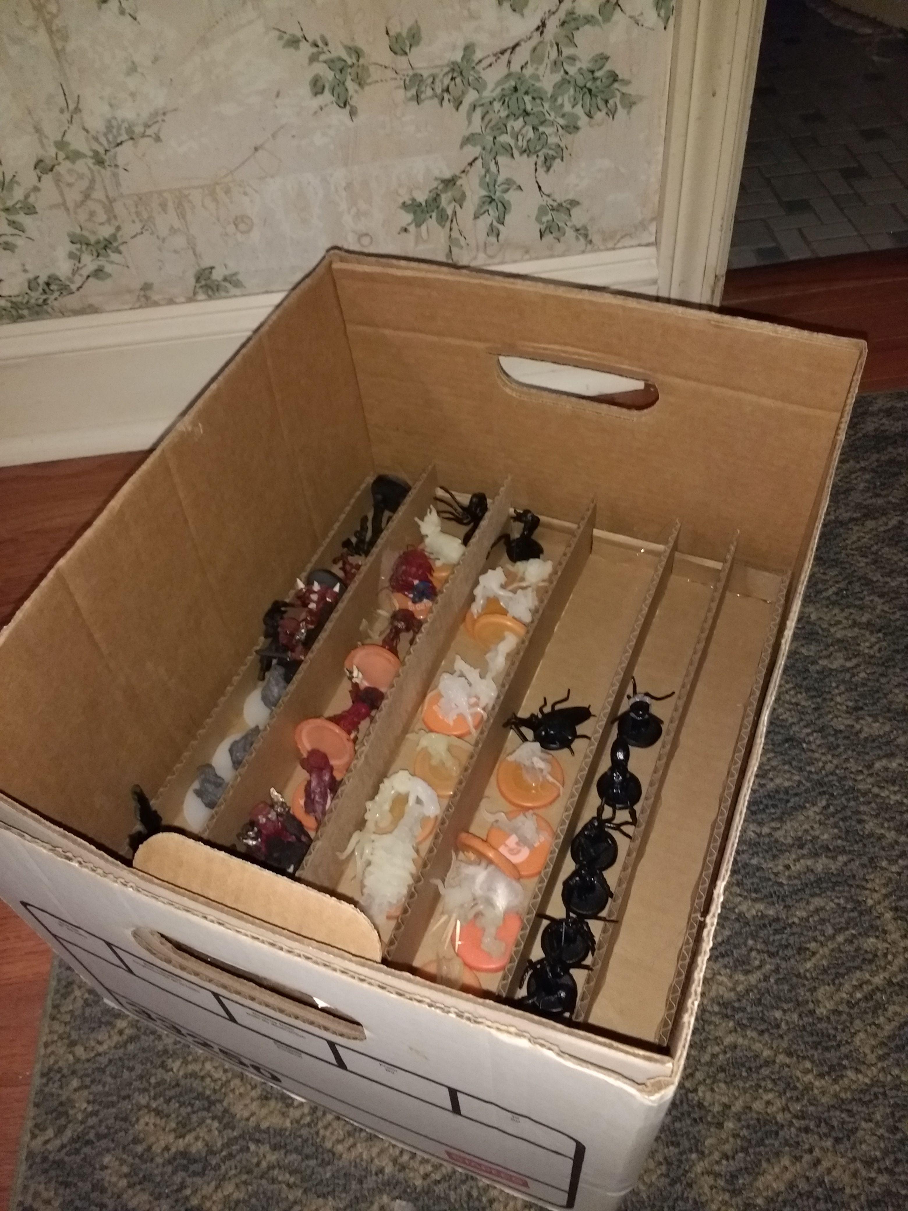 storage trays