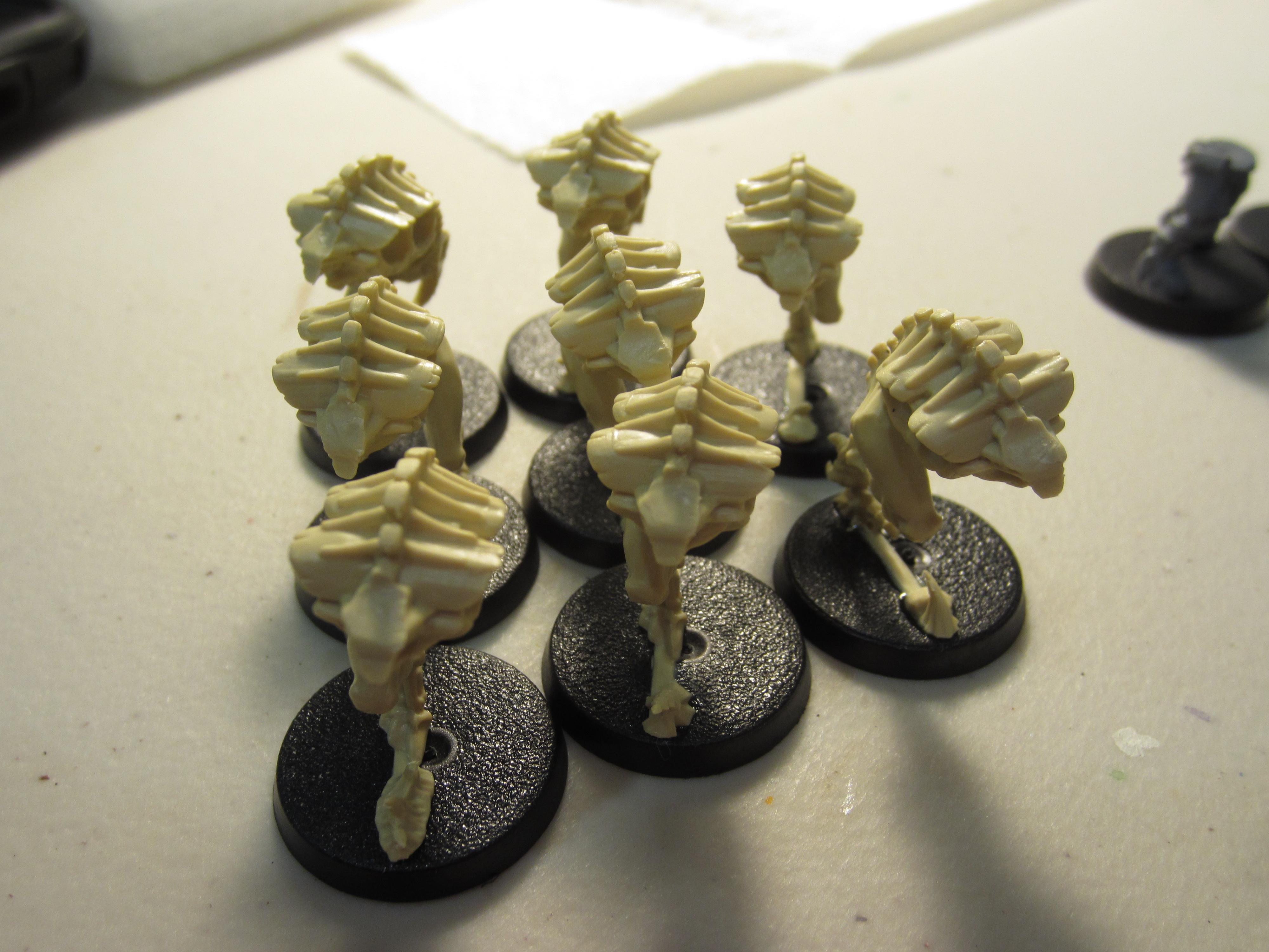 Nids