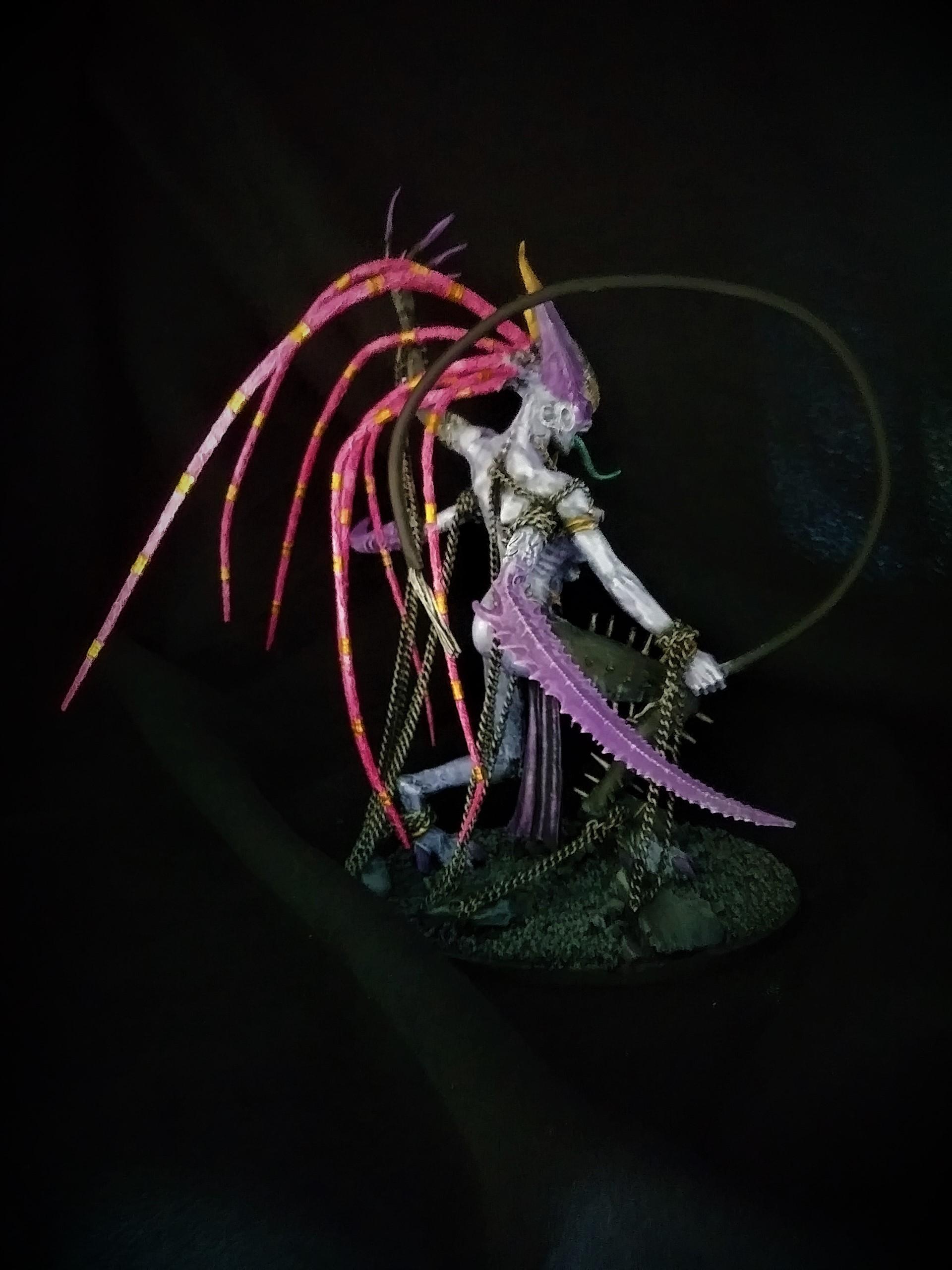 Chain, Chaos, Daemonettes, Daemons, Slaanesh, Whip, Zarakynel