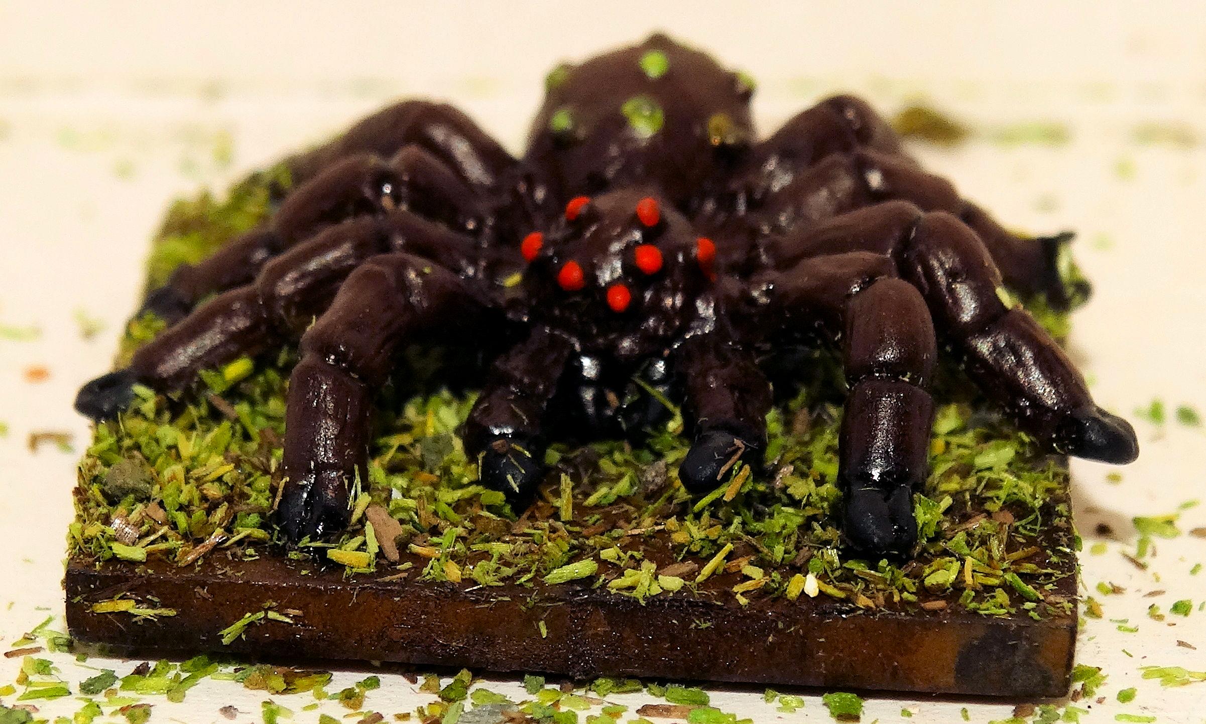 Jungle Spider