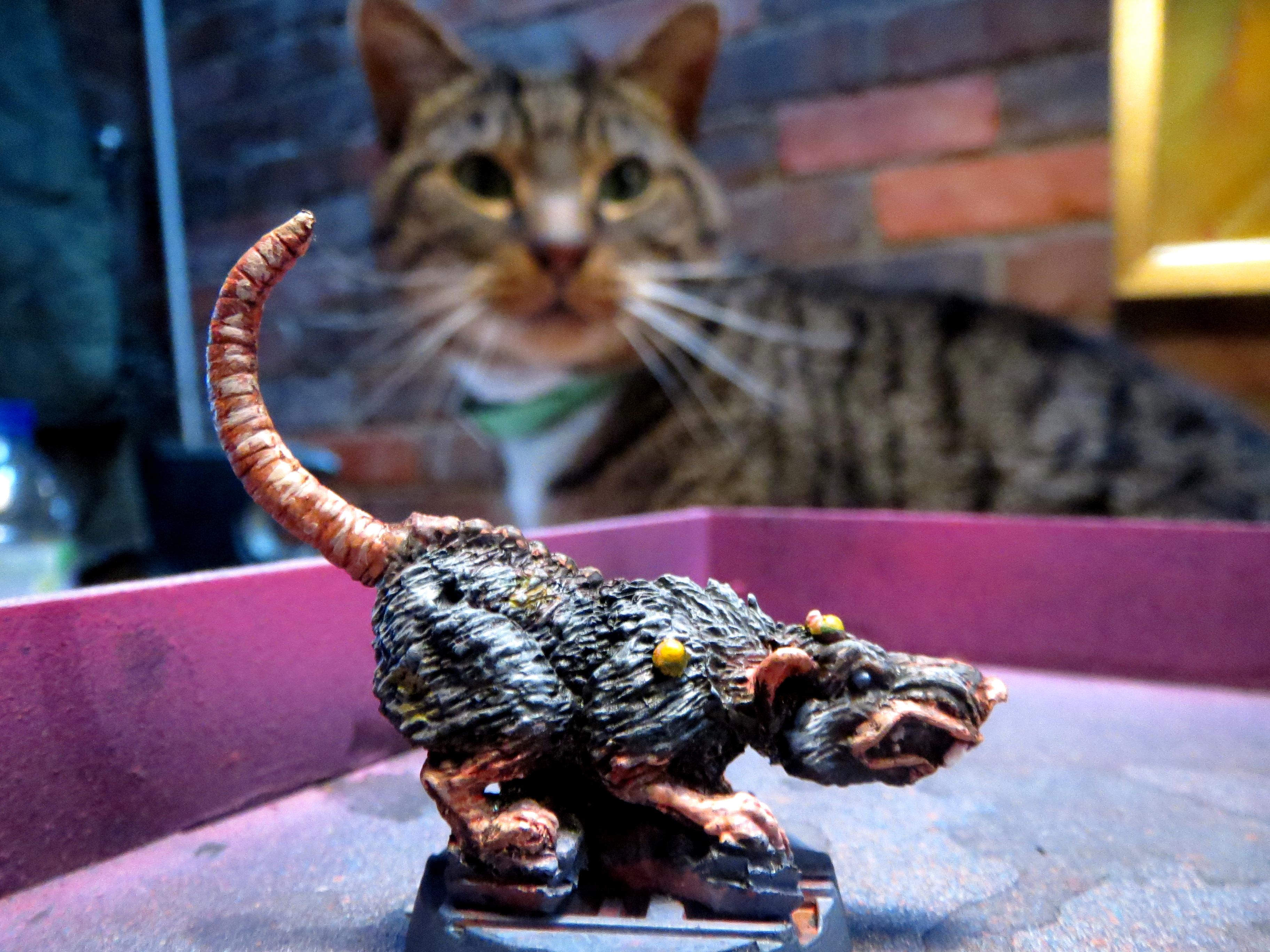 Cat!, Cat%21, Giant Rat, Necromunda, Rat