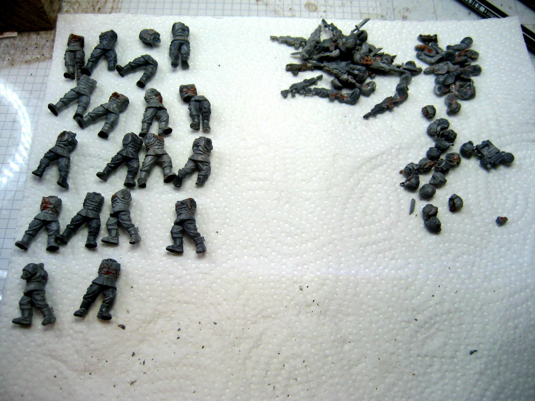 new corpses