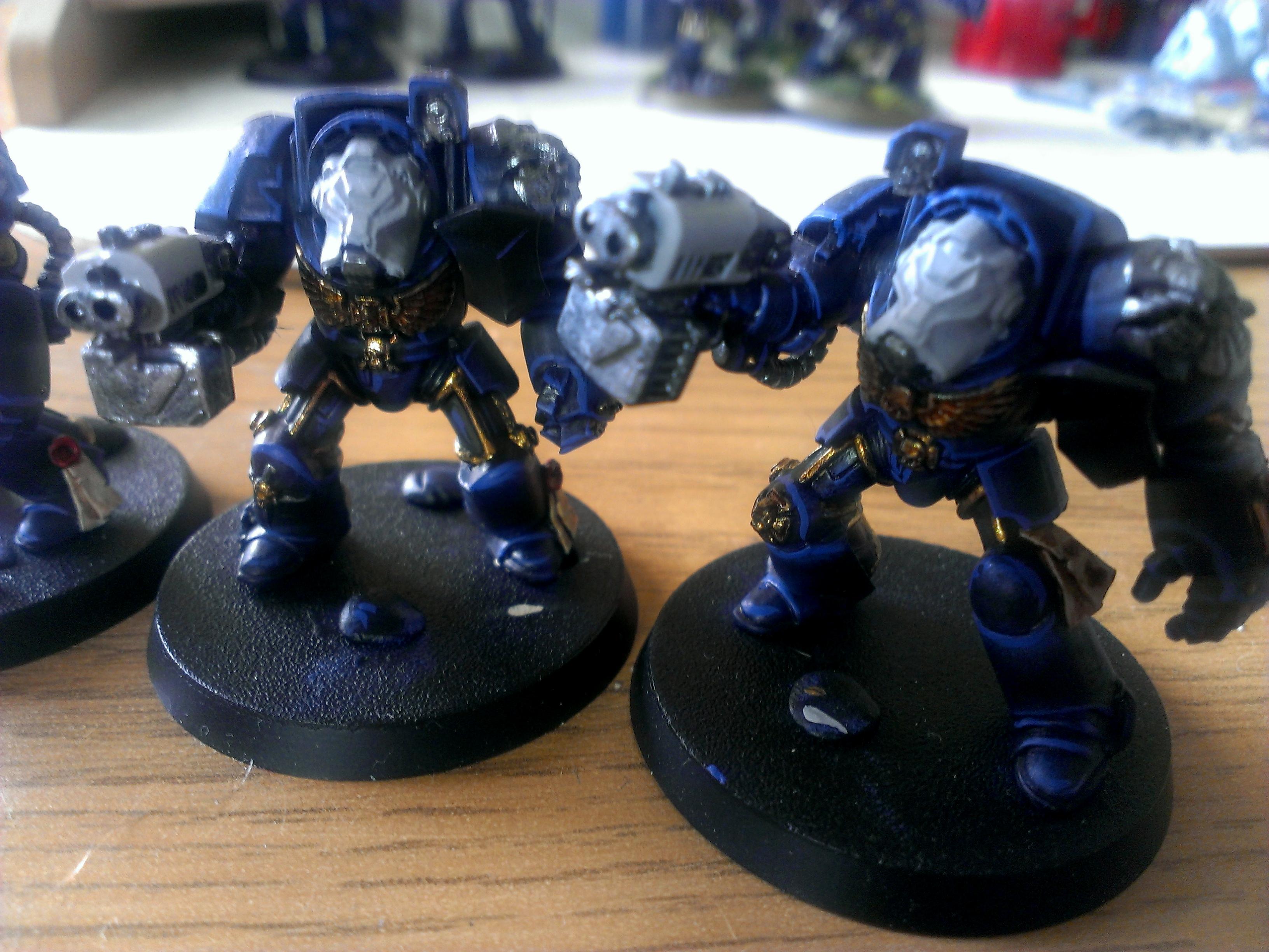 Space Marines, Terminator Armor, Ultramarines, Work In Progress