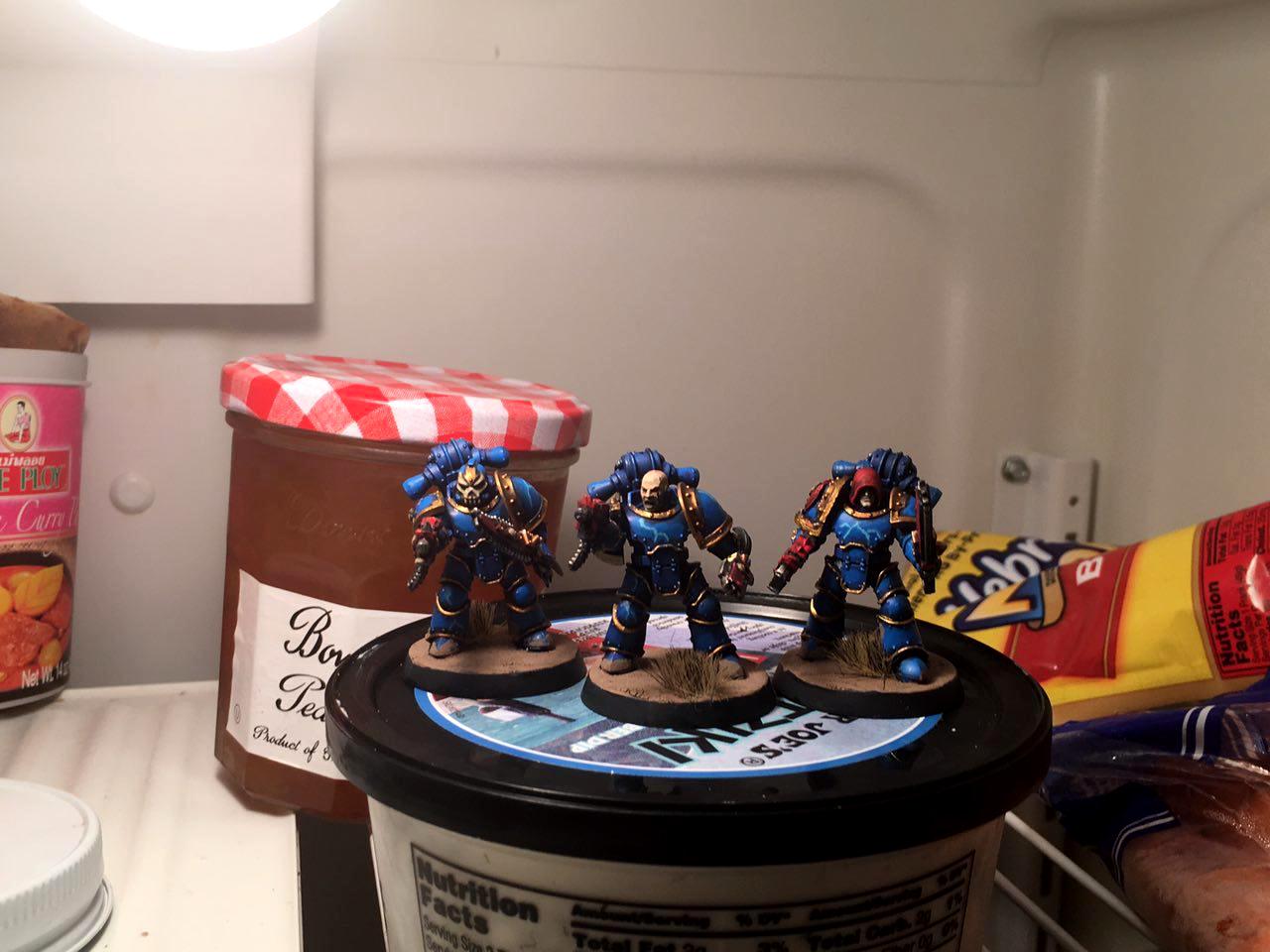 FRIDGELORDS