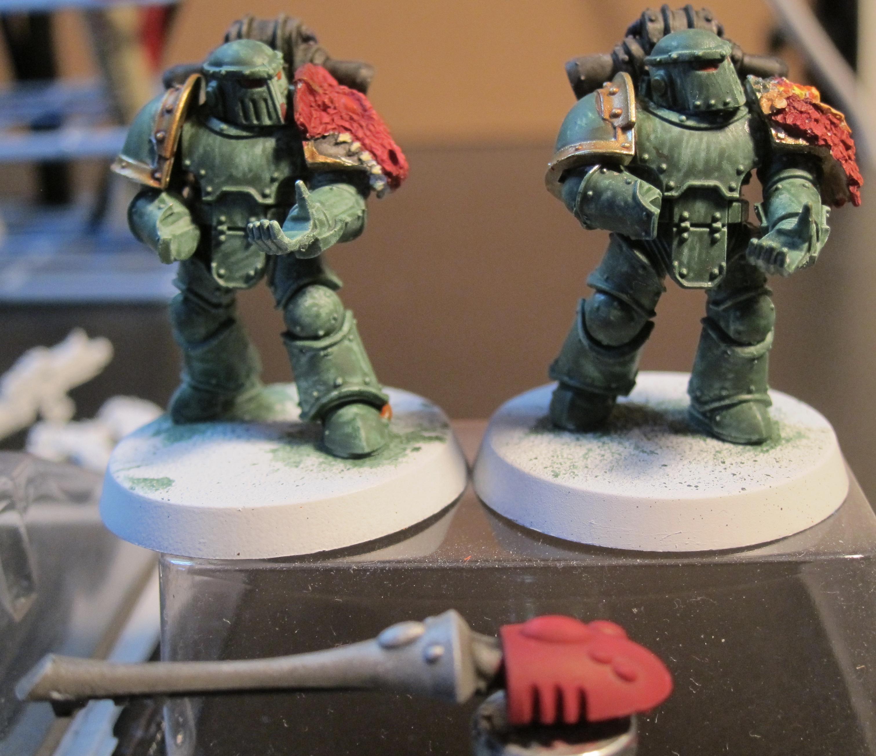sal wip