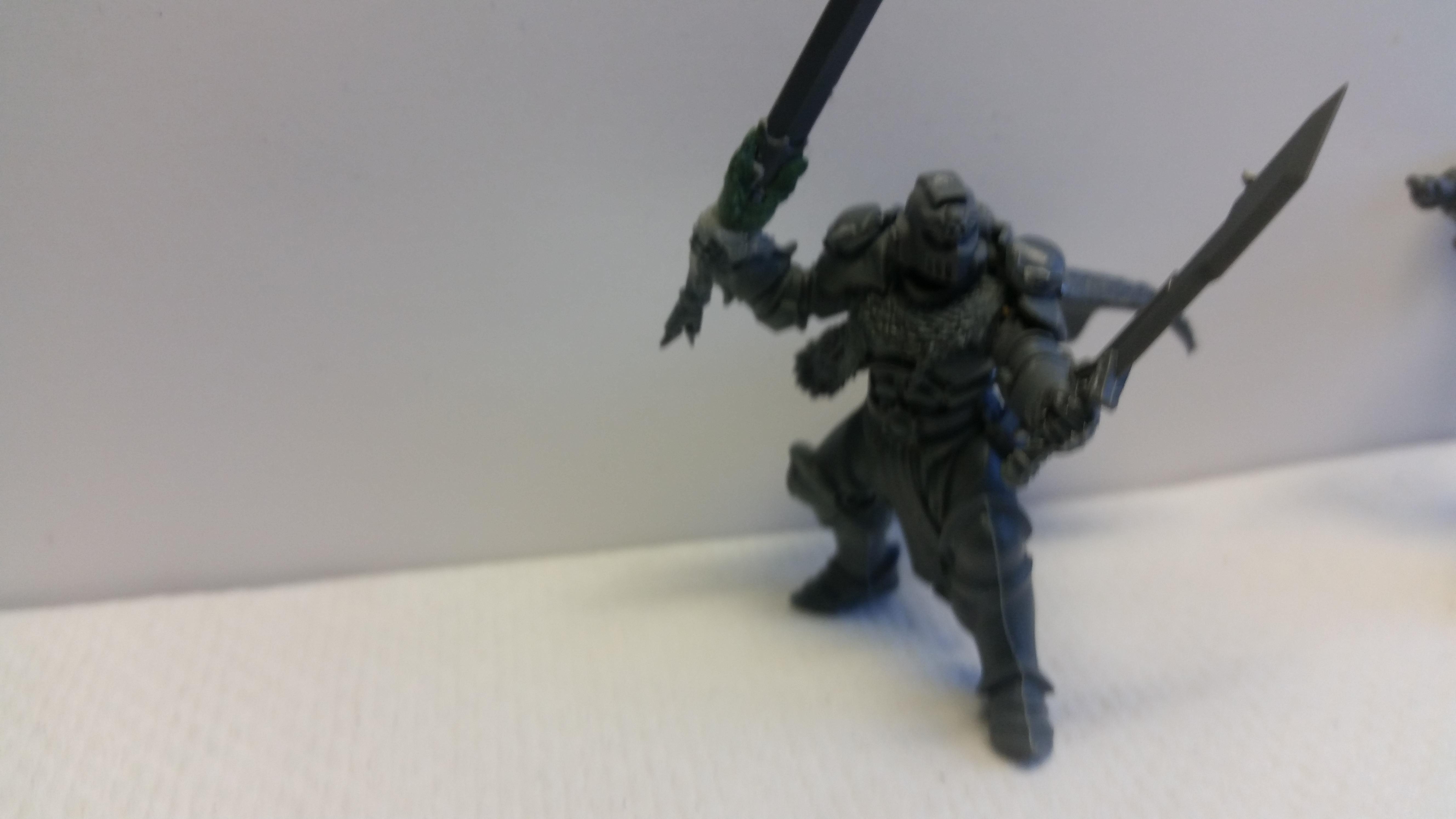 Honor guard wip