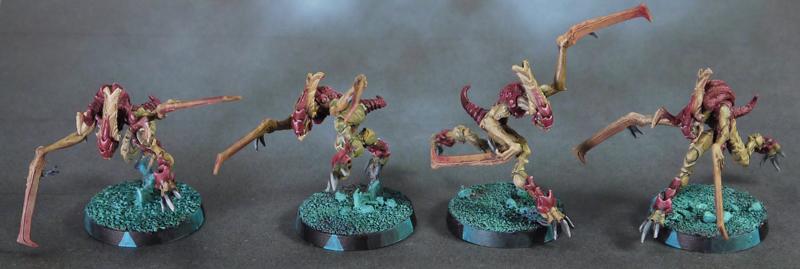 Combined Army Hungries