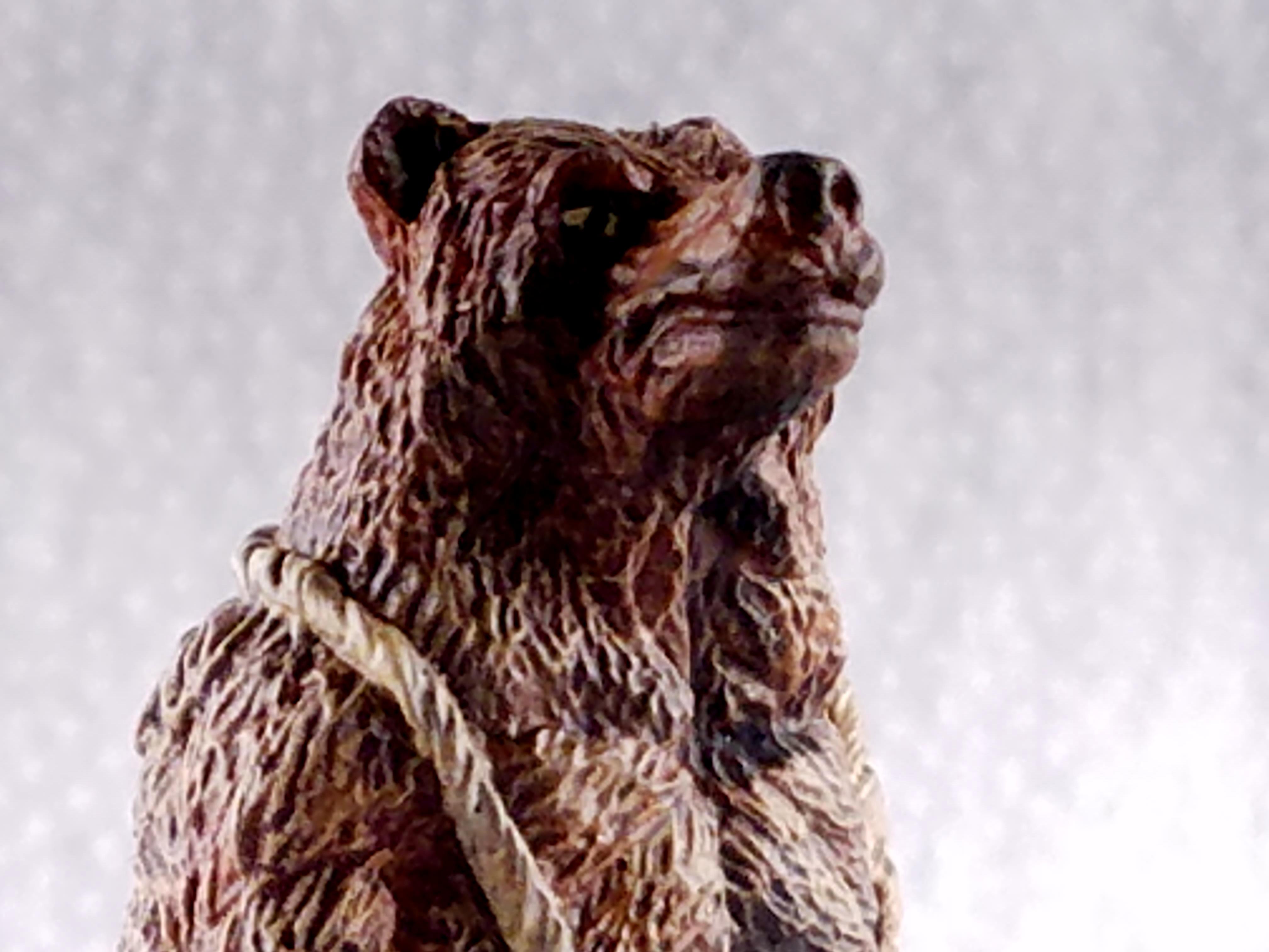All The Drybrushing, Anthropomorphic, Bear, Bones, Drybrushing, Ogre Sized, Reaper, Reaper Bones, Werebear, Werecreature