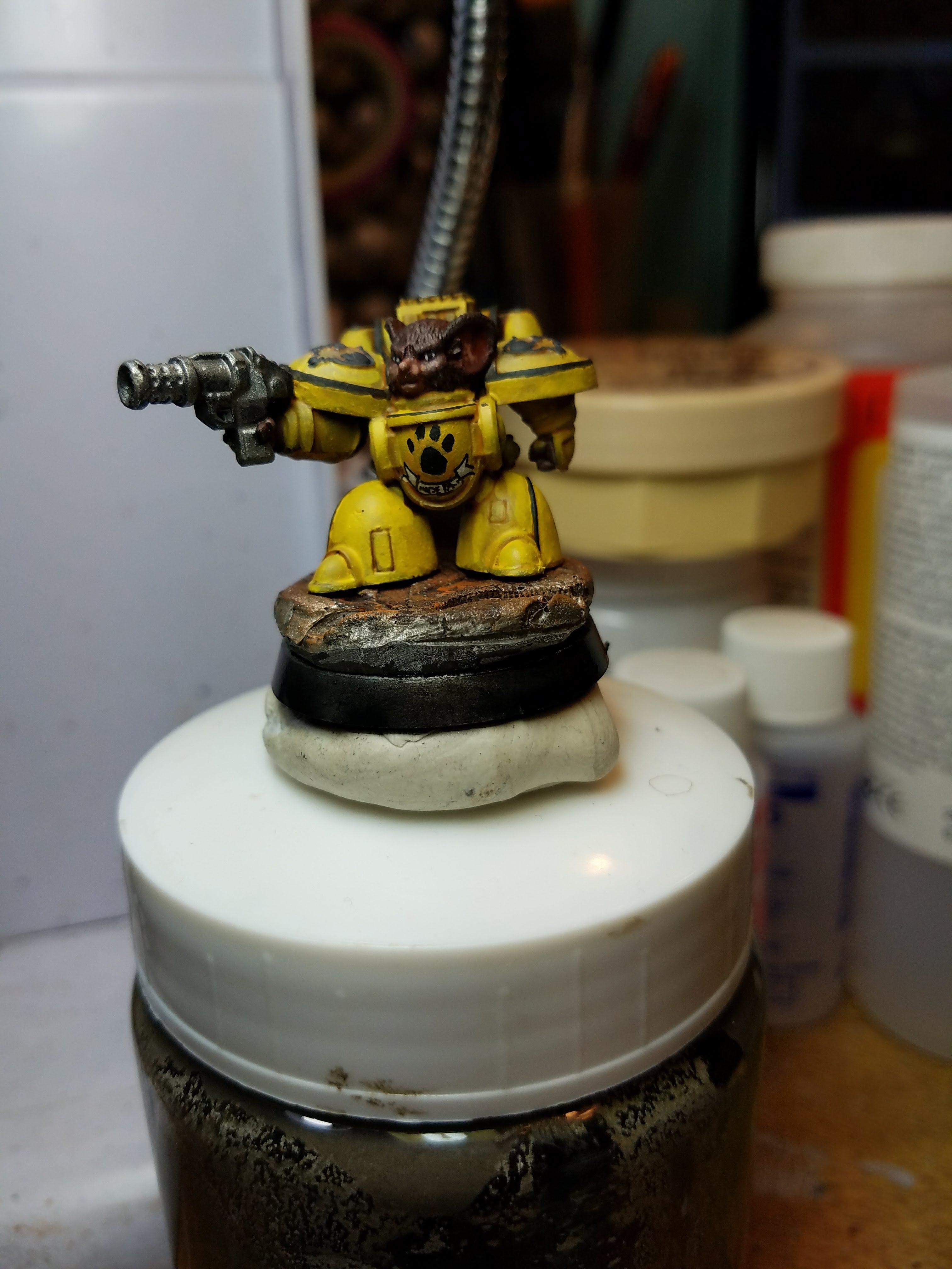 Imperial Paw 1