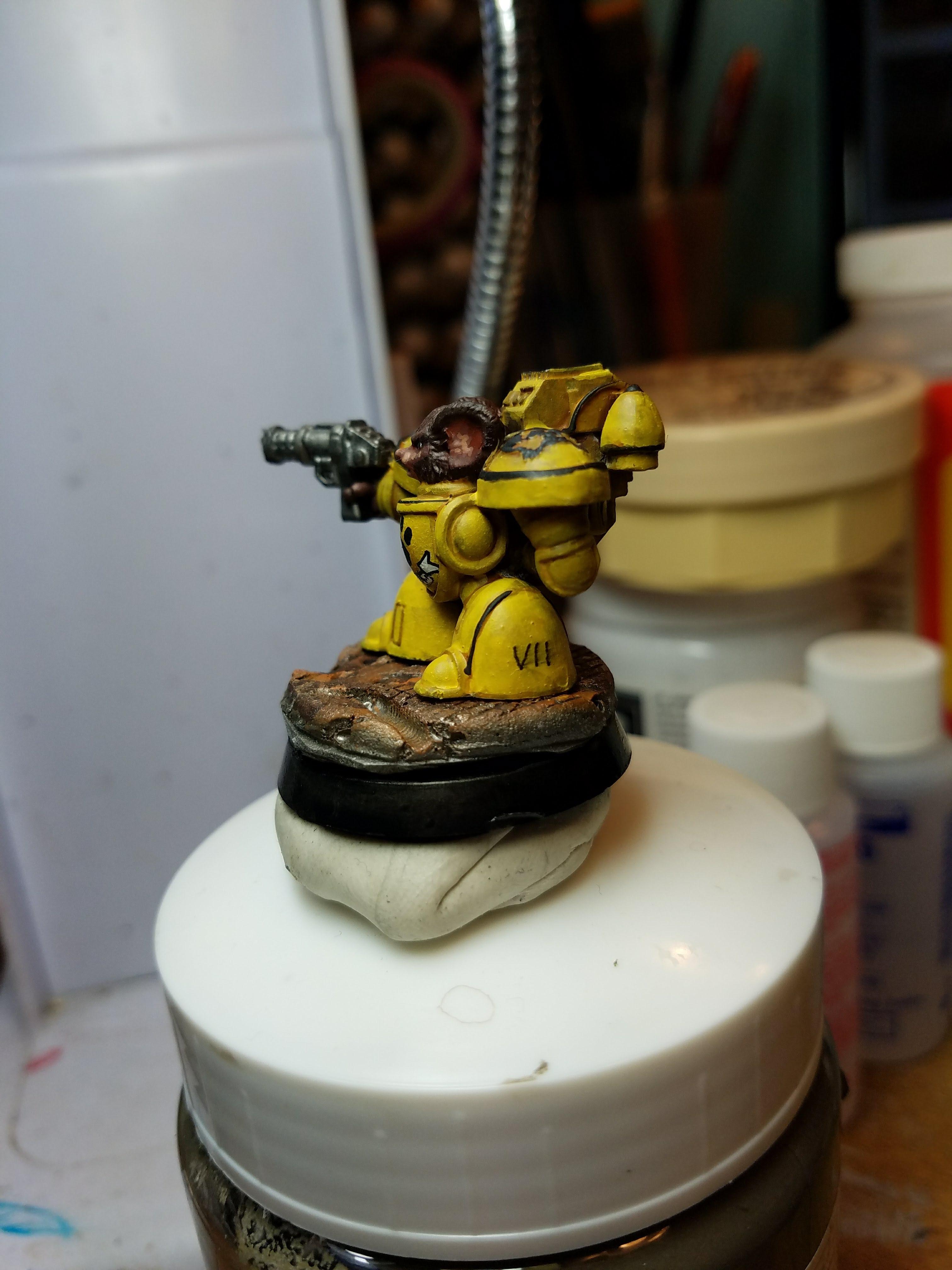 Imperial Paw 2