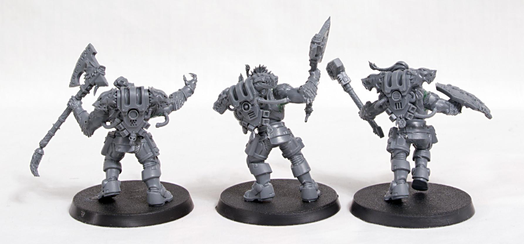 Wulfen Reivers 2
