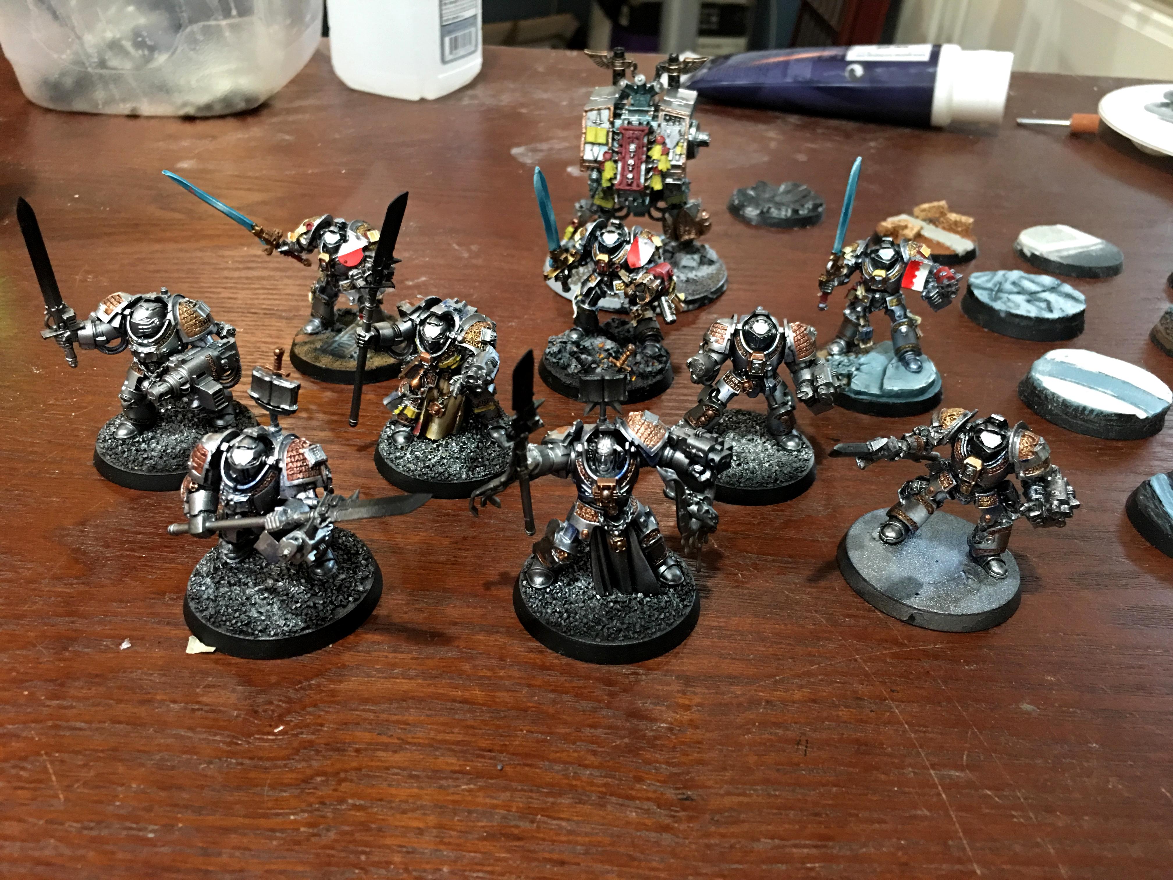 Grey Knights, Paladins