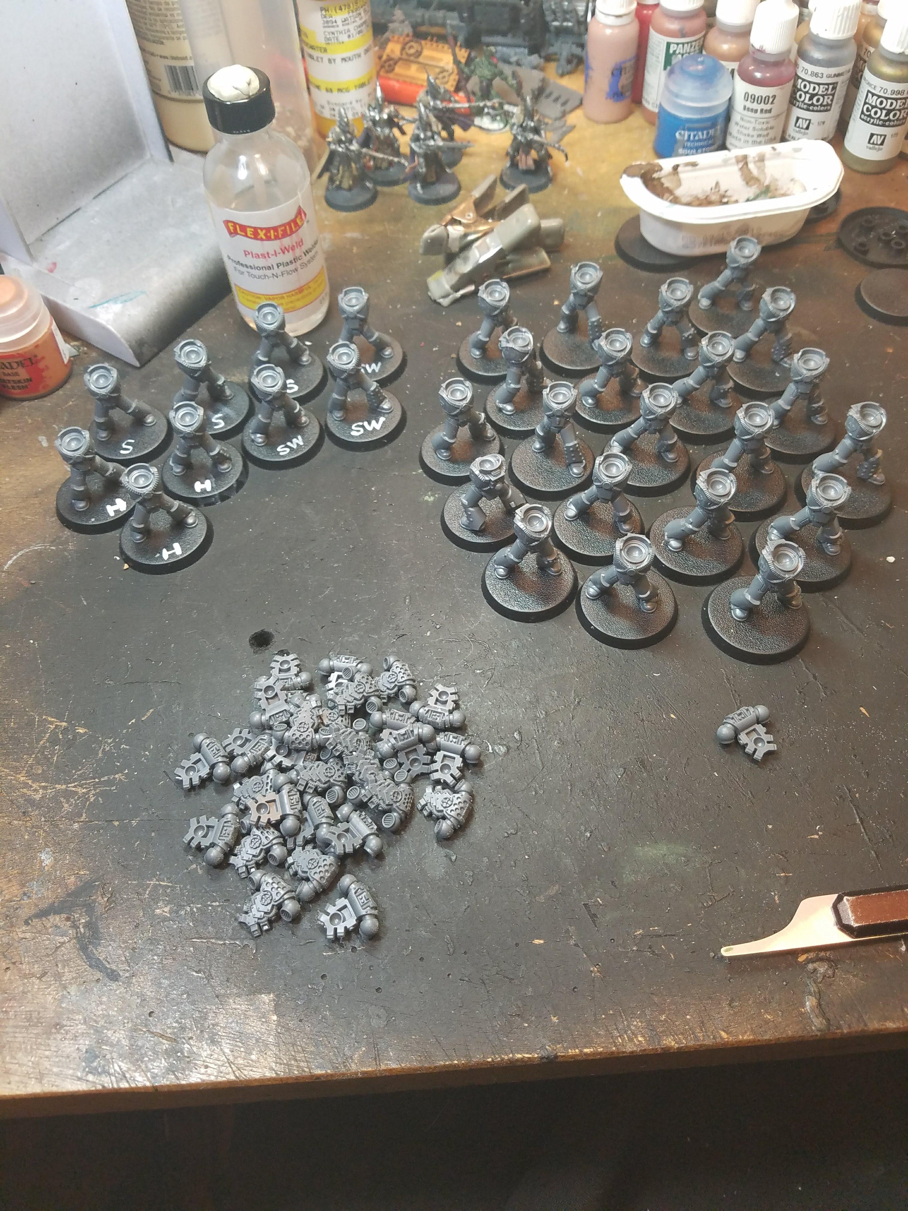 Moar Luna Wolves