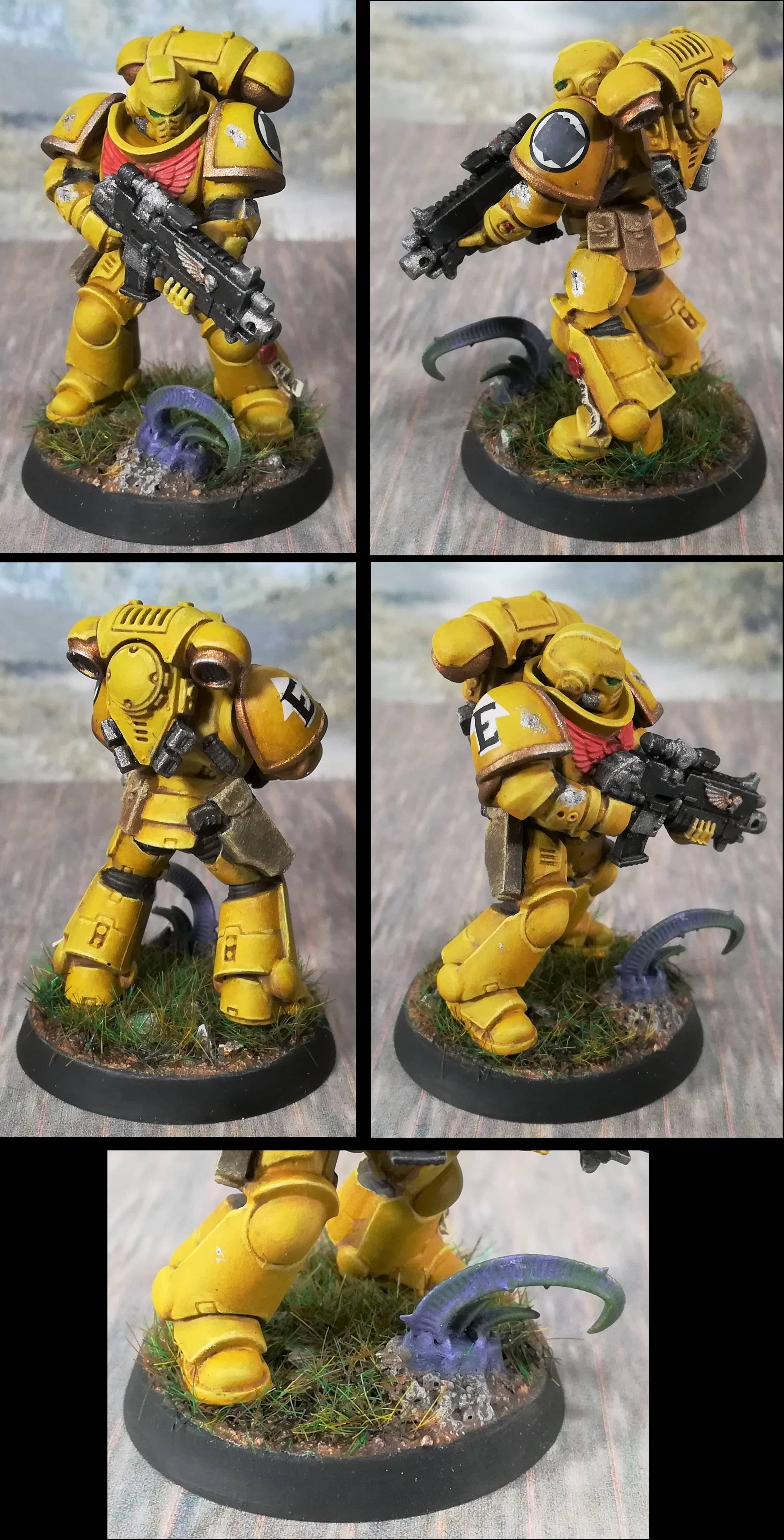 Intercessor Squad B final 2 &quot;Earth&quot;