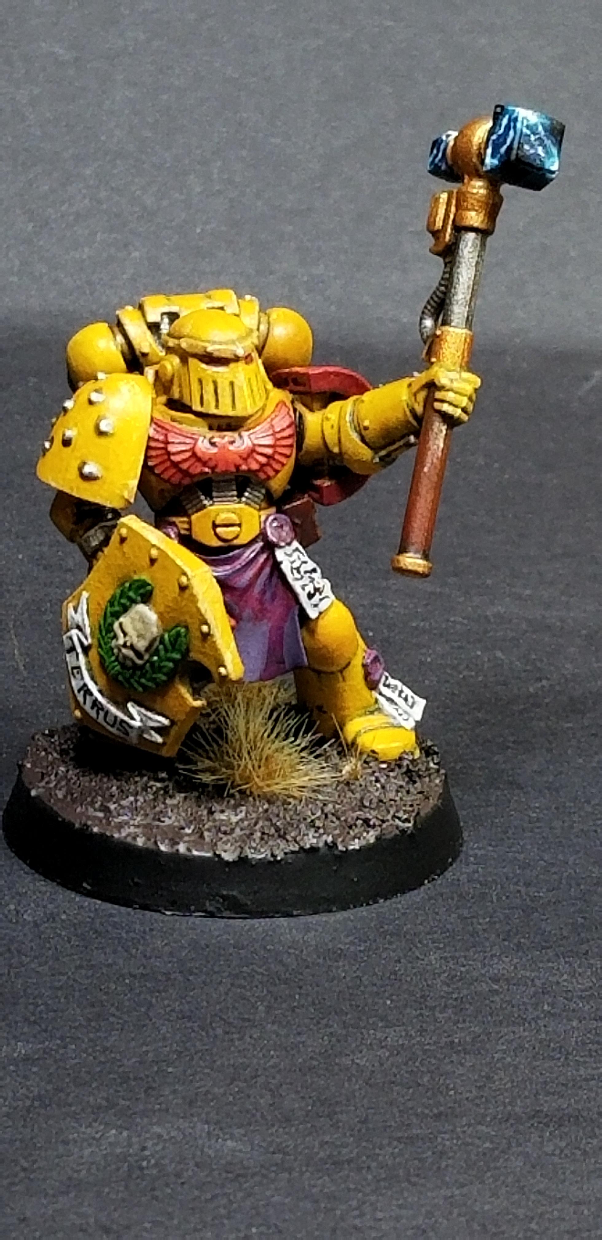 Company Champion 