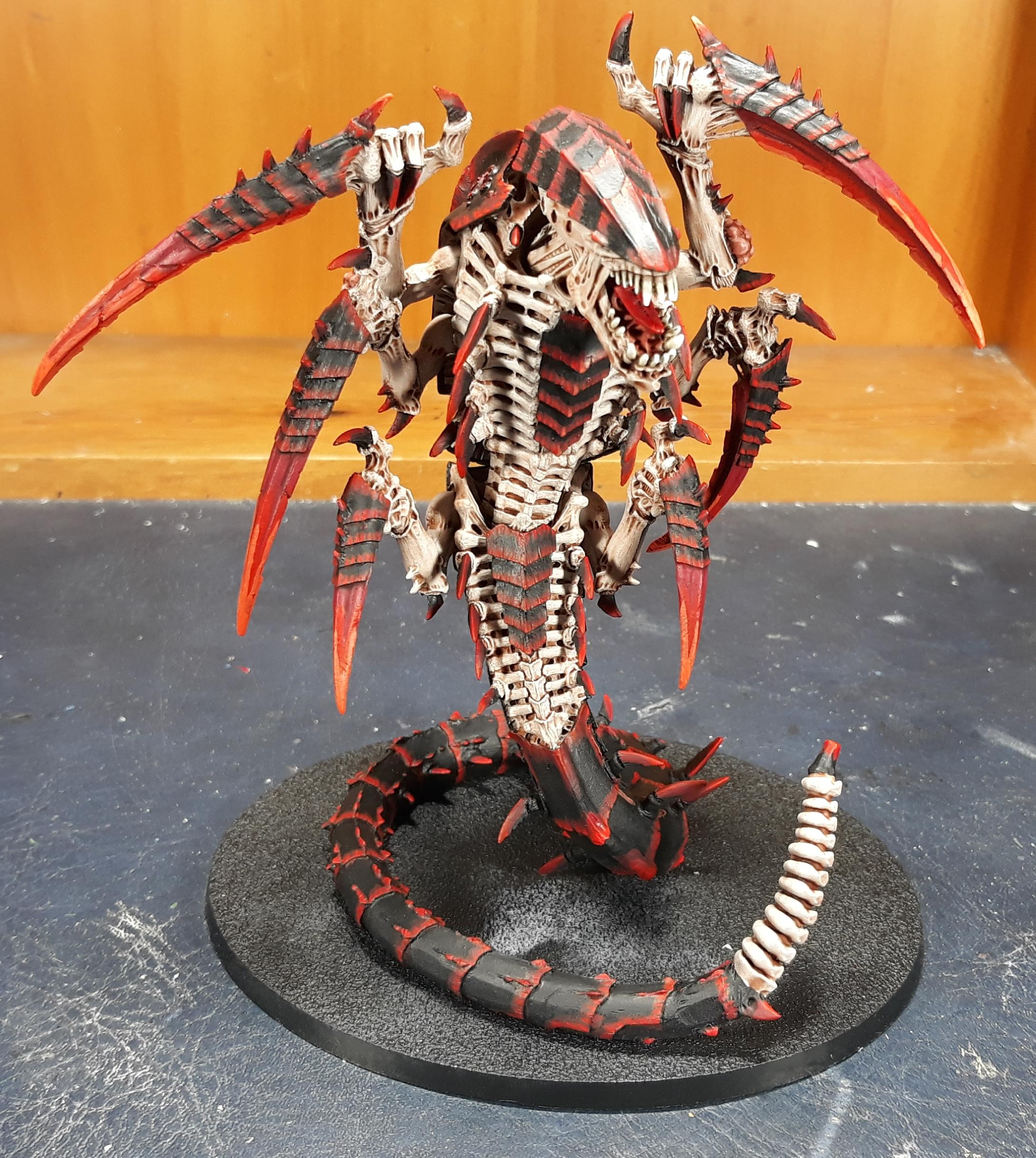 Trygon Prime Front