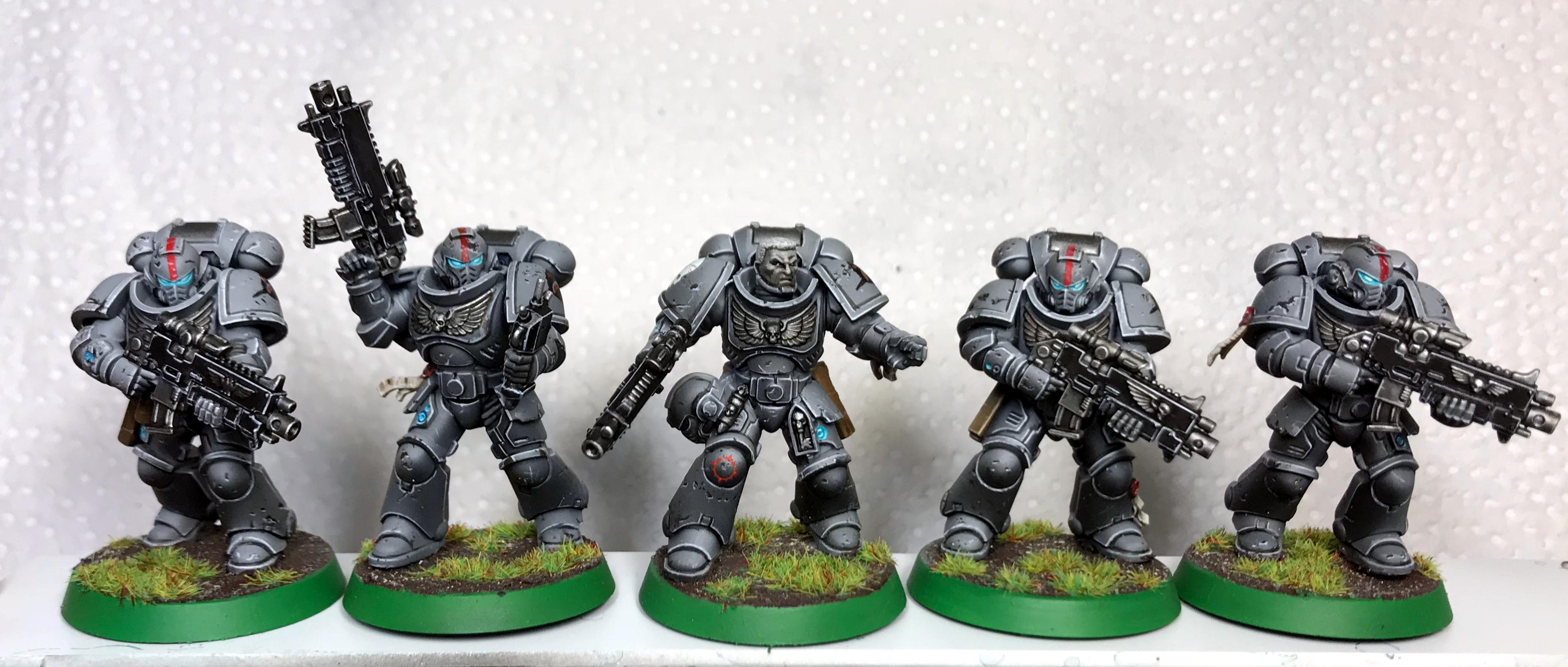 Grey, Primaris, Space Sharks