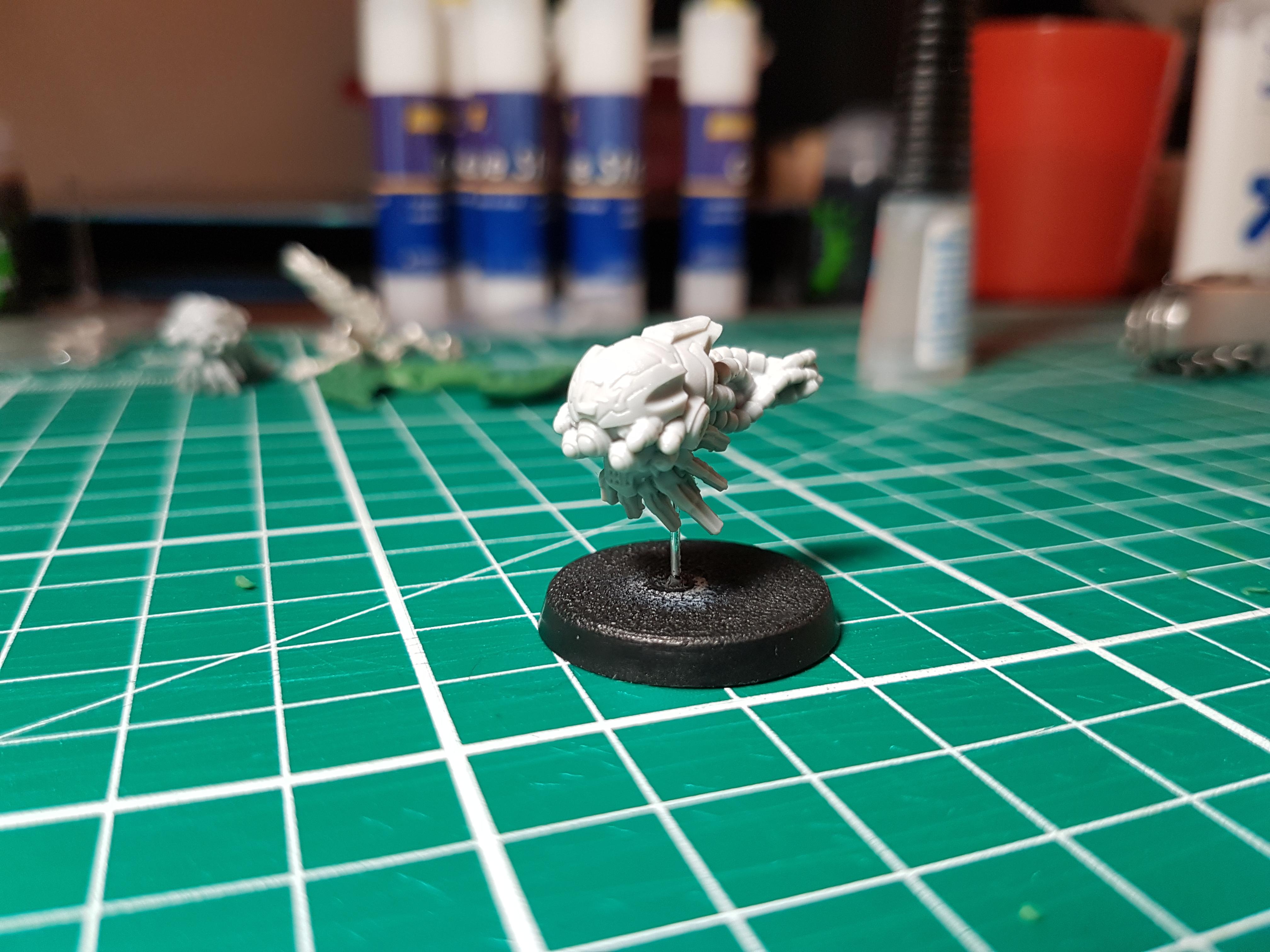 Unknown squid bot