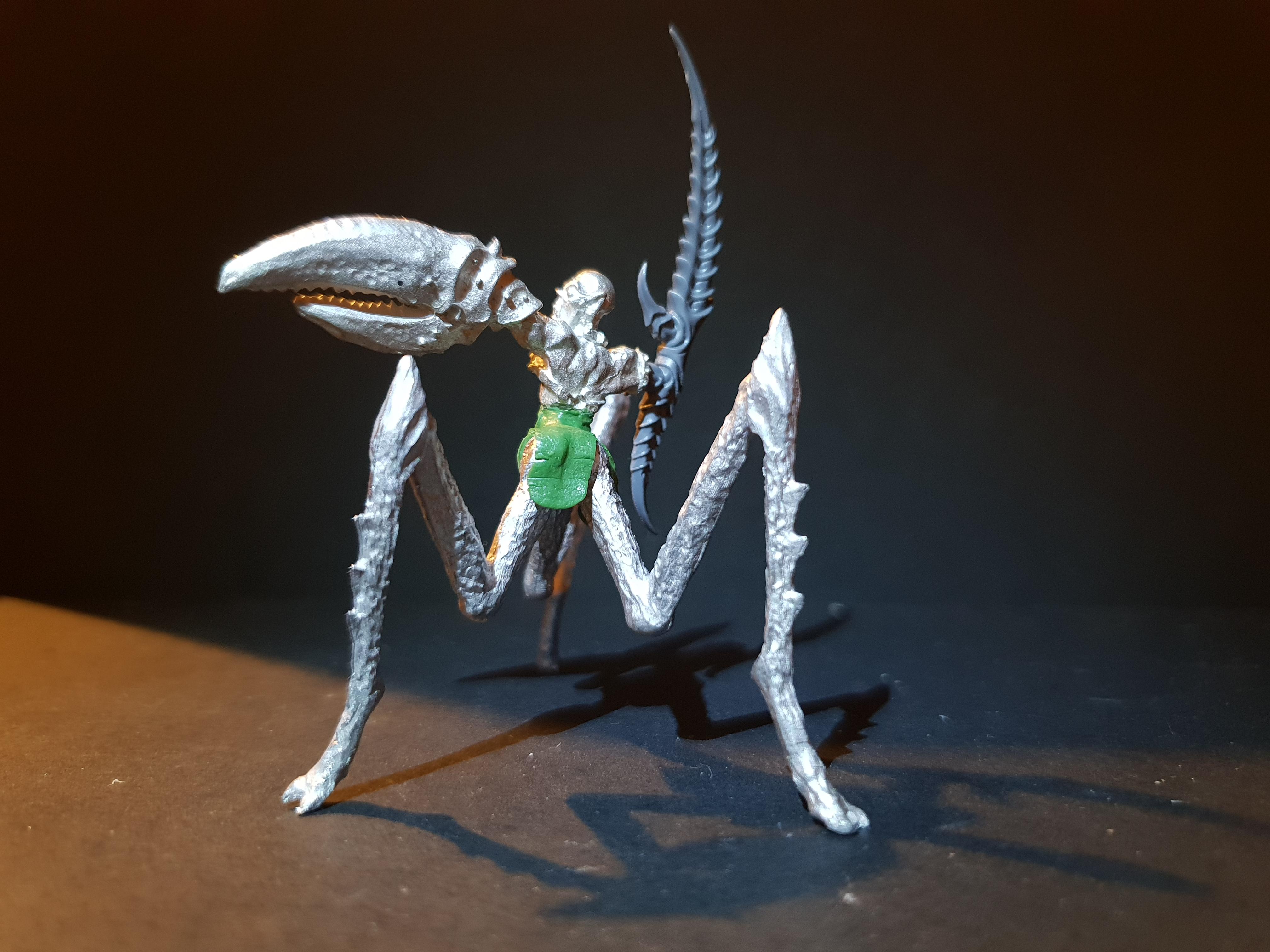 Chaos, Conversion, Daemonettes, Slaanesh, Warhammer 40,000, Work In Progress