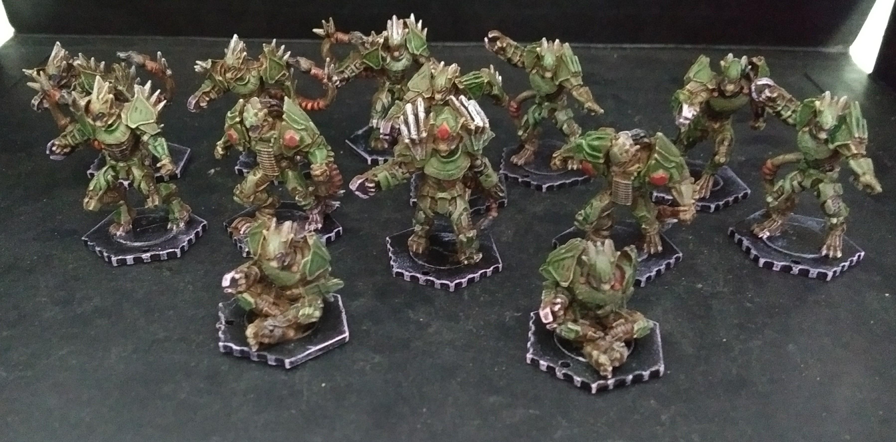 Yndij team