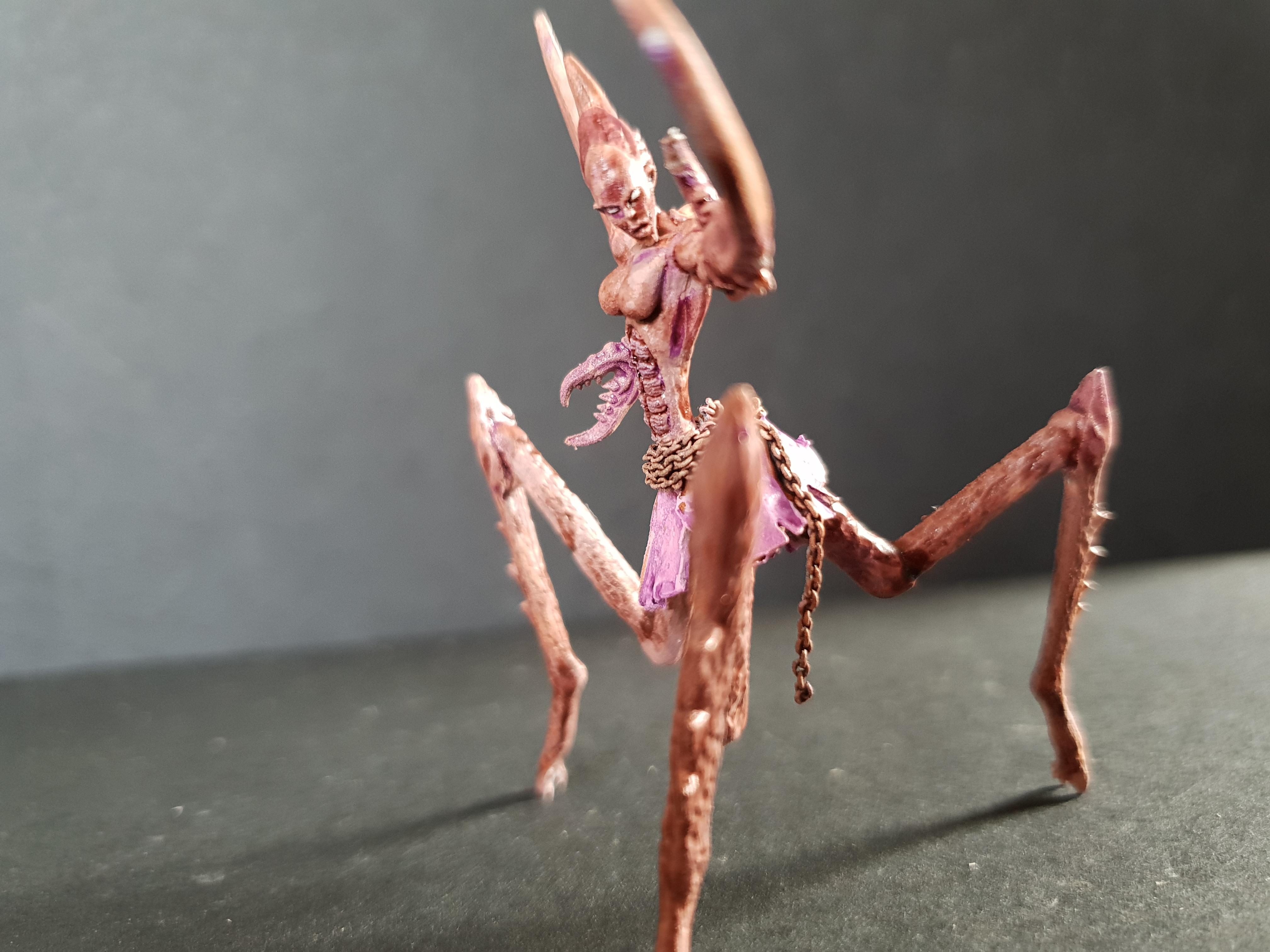 Chaos, Conversion, Daemonettes, Pip, Slaanesh, Warhammer 40,000, Work In Progress