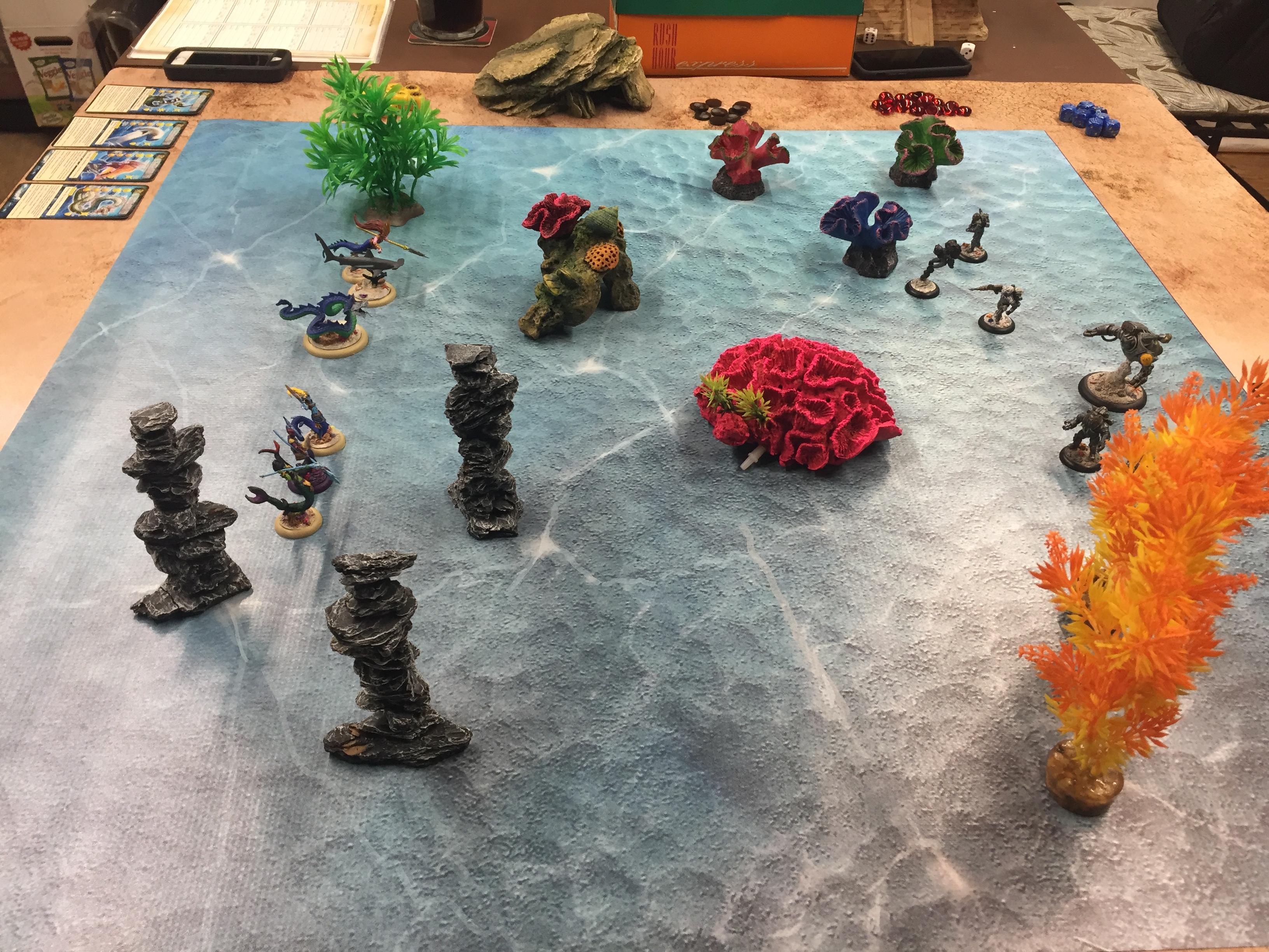 Aquatic, Fish, Scuba, Under The Sea