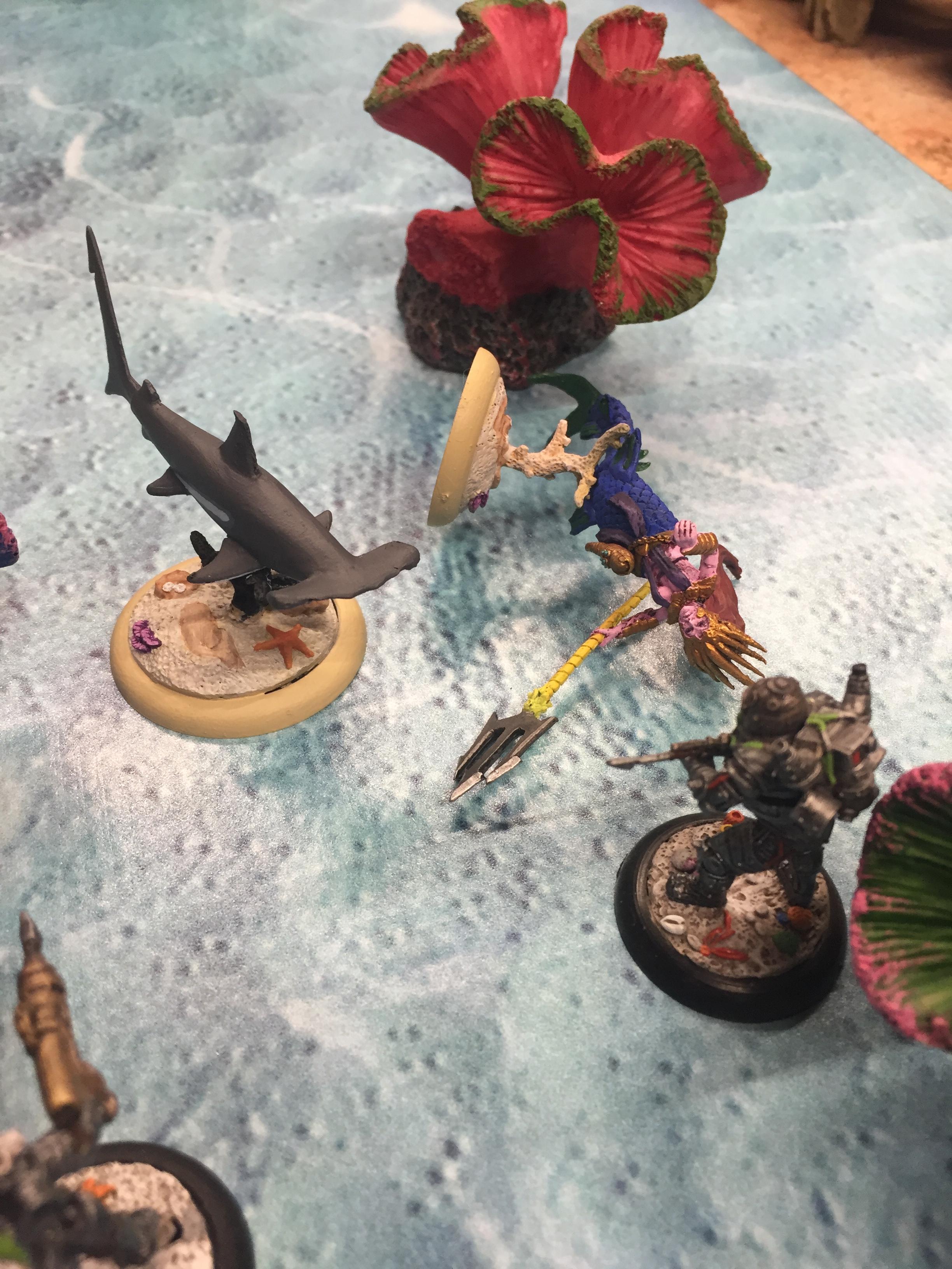 Campaign Scenario 2