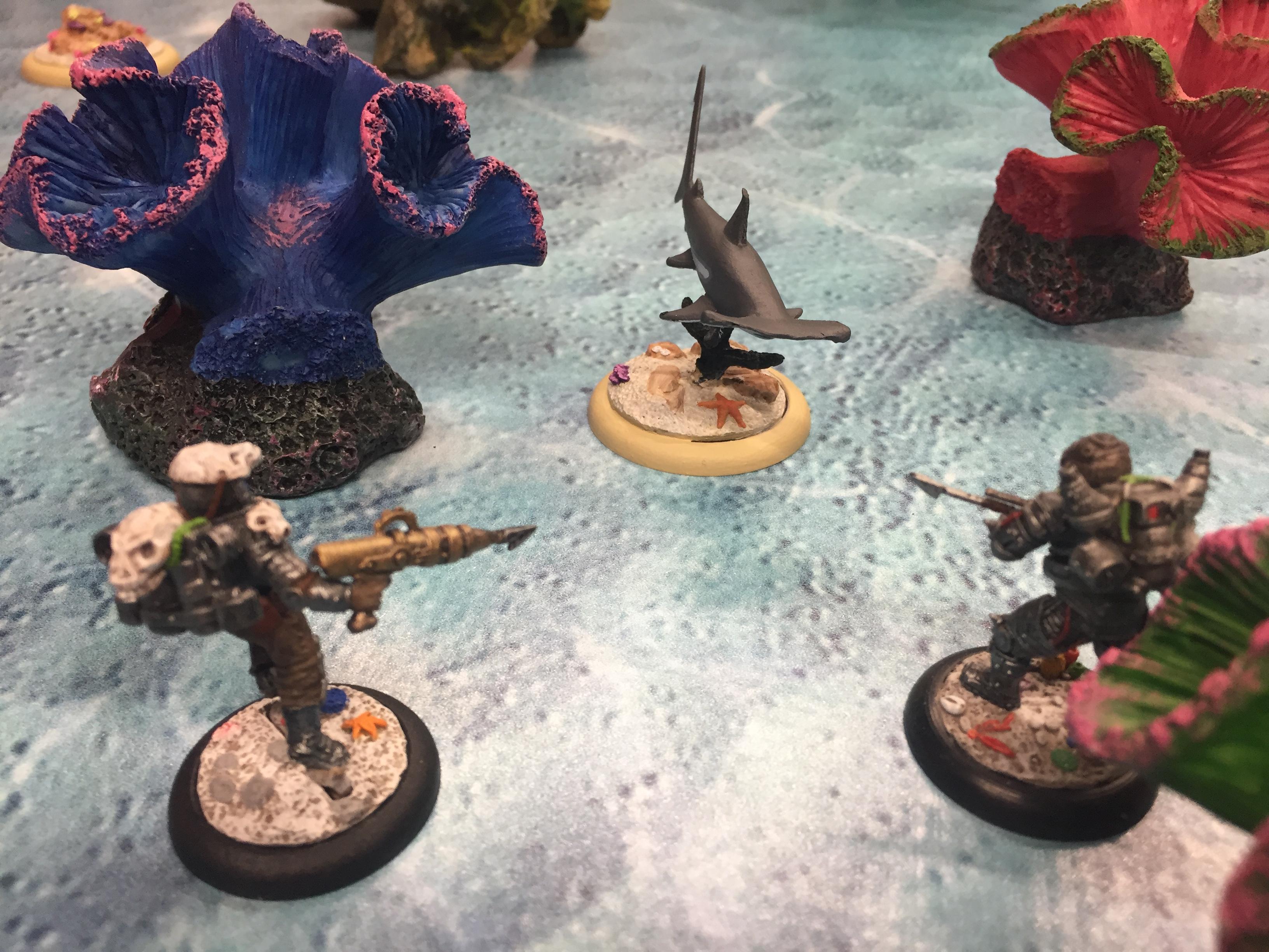 Campaign Scenario 2